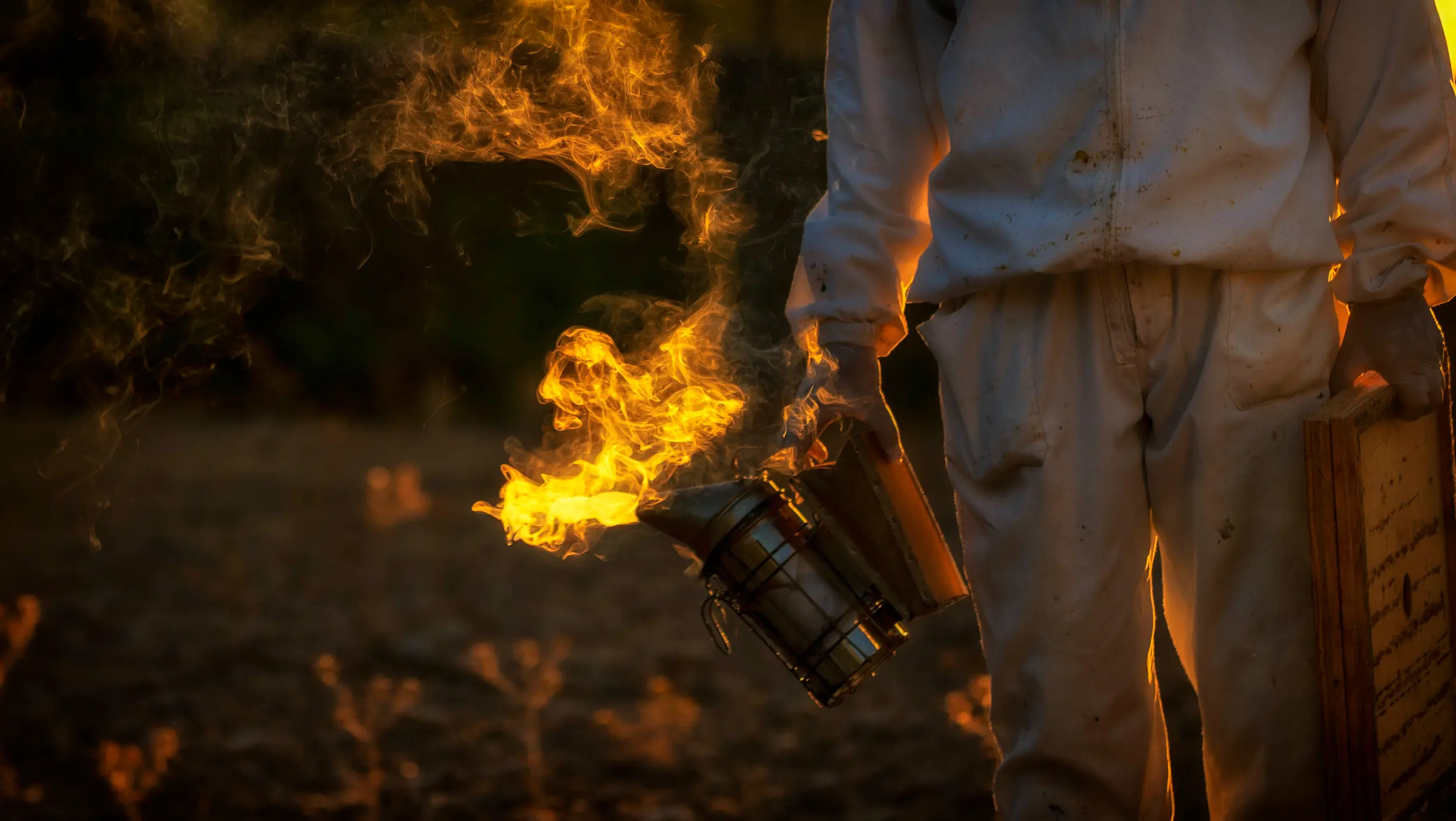 Photo by Tarek Serraj