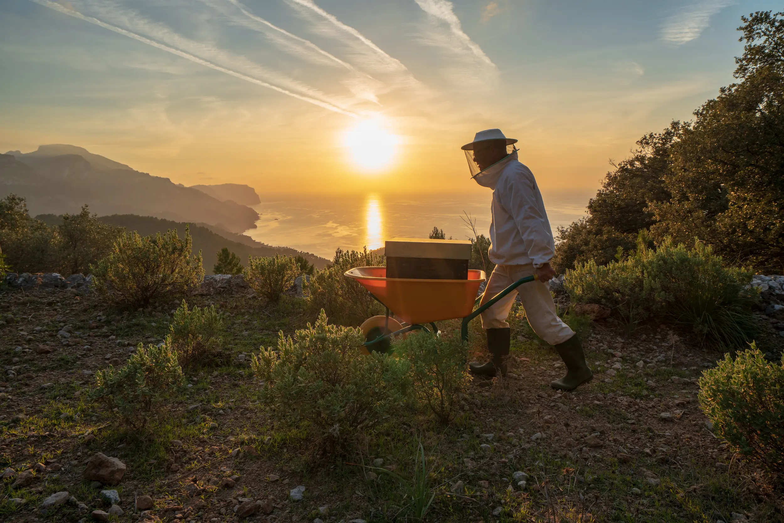 Photo by Tarek Serraj