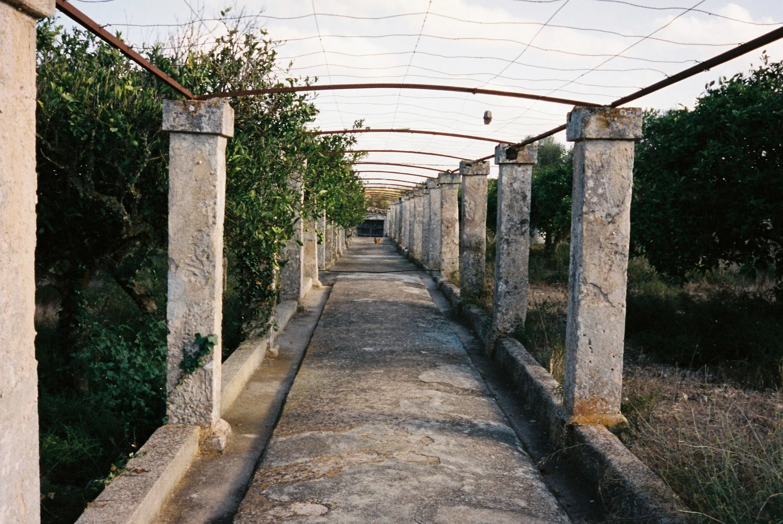 Outside the studio of Accidente con flores