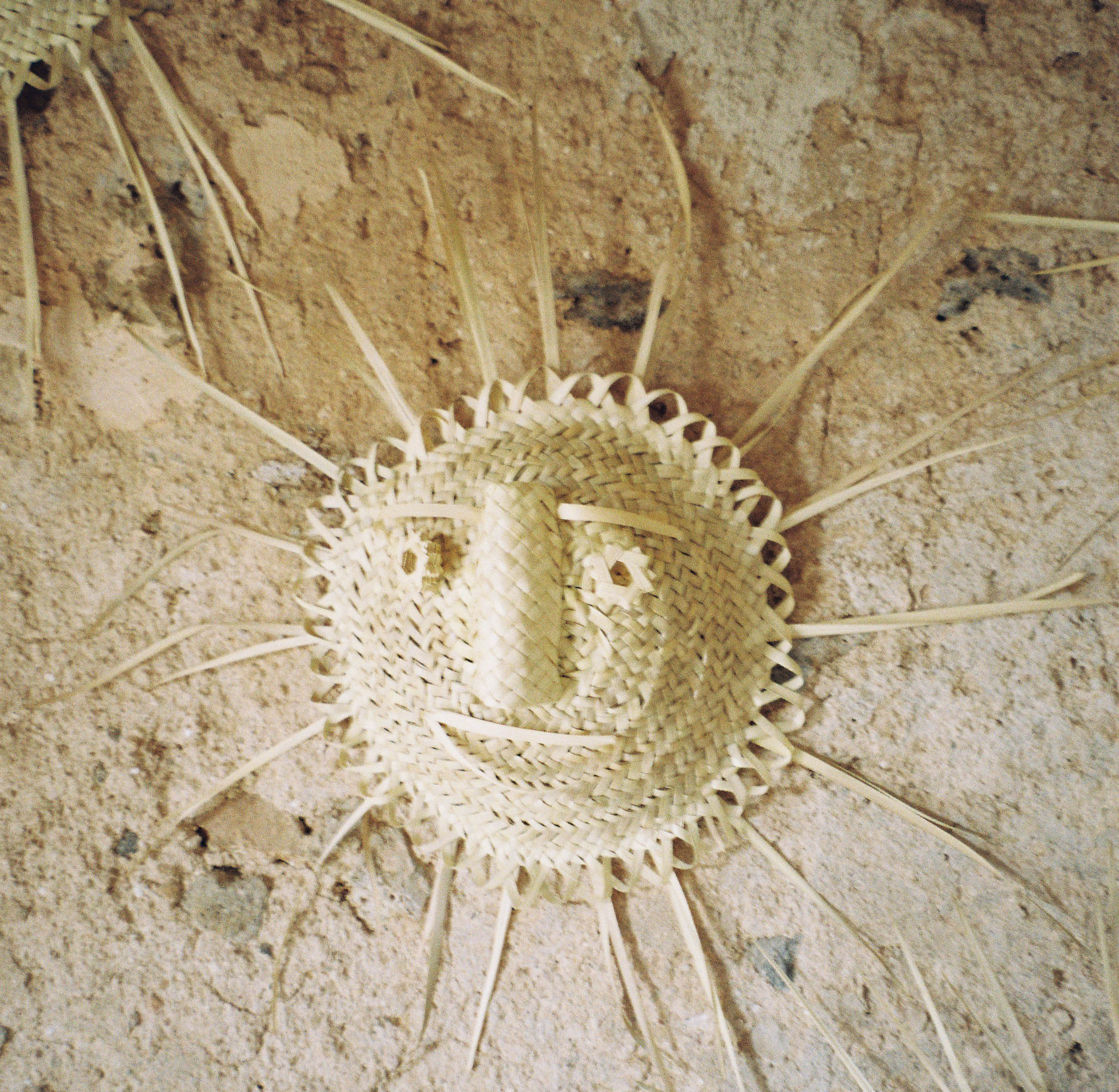 Quote illustration for Accidente Con Flores