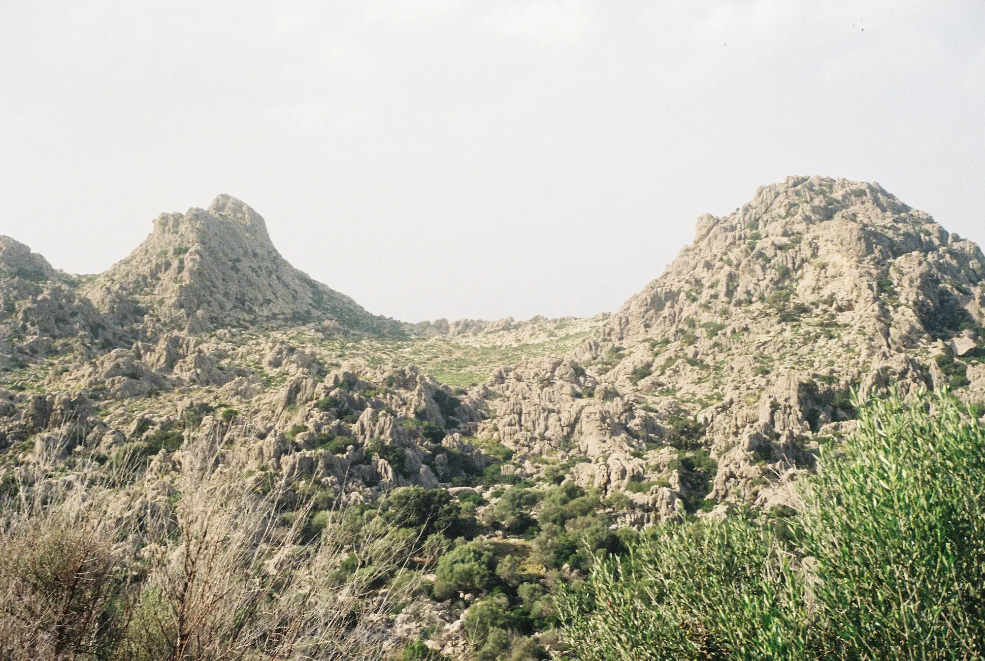 Ela Spalding: Working Between Art, Ecology and the Landscape - View Mallorca