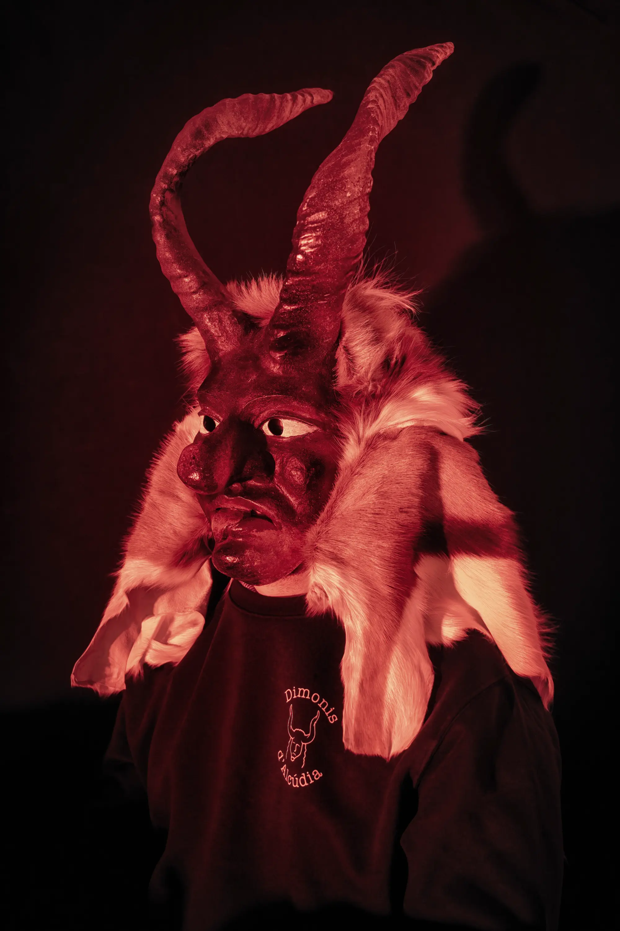 Behind the Masks: A Backstage Look at Sant Antoni in Alcúdia - View Mallorca