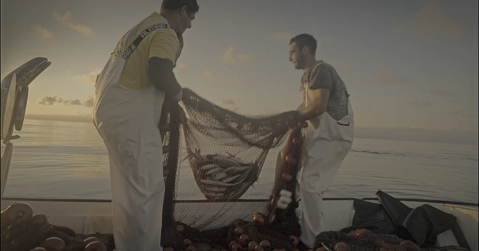 Photo: Tarek Serraj / Opening photo: Pere Andreo, Photo: Tarek Serraj