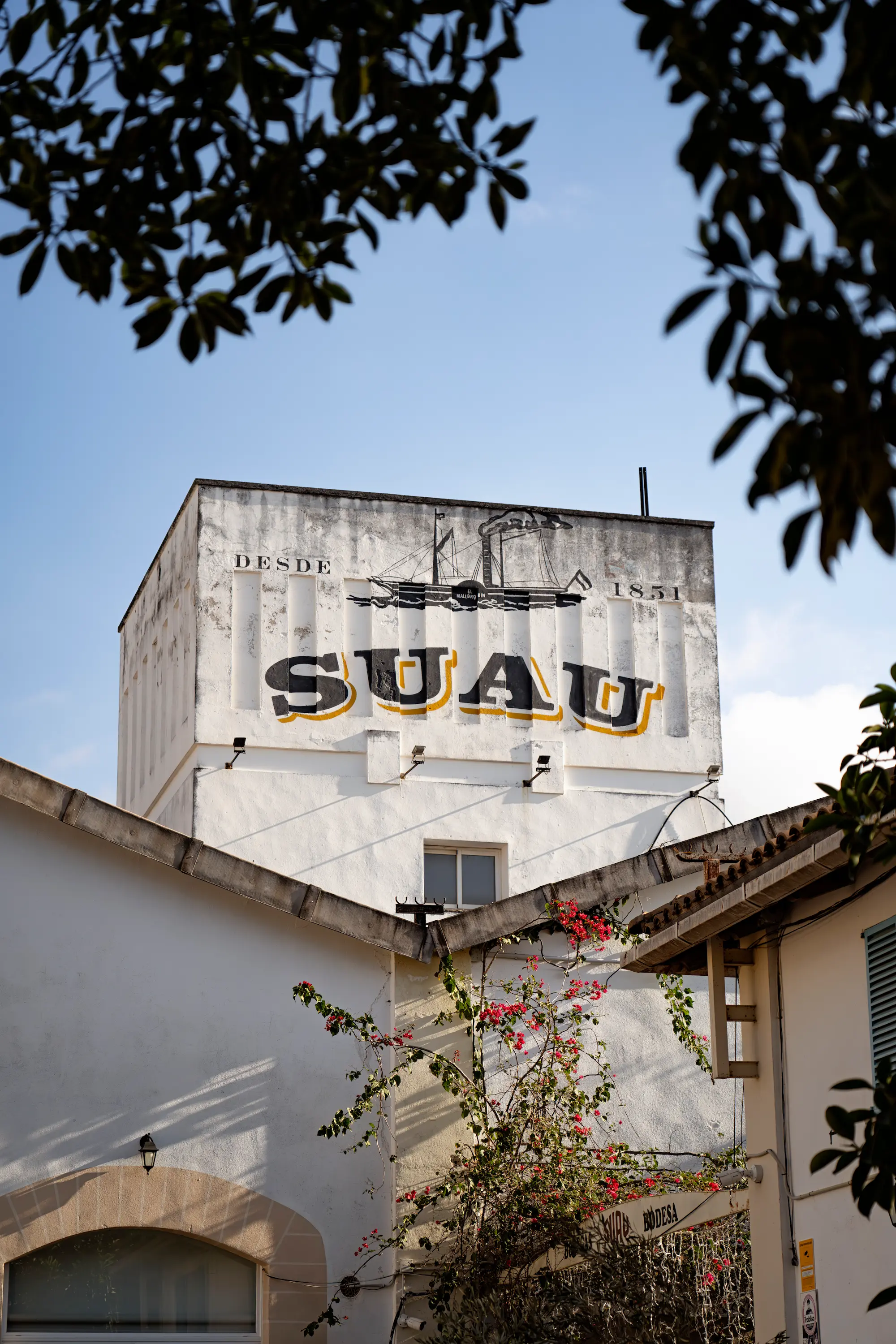 Bodegas Suau, A Multi-Generation Mallorcan Story - View Mallorca