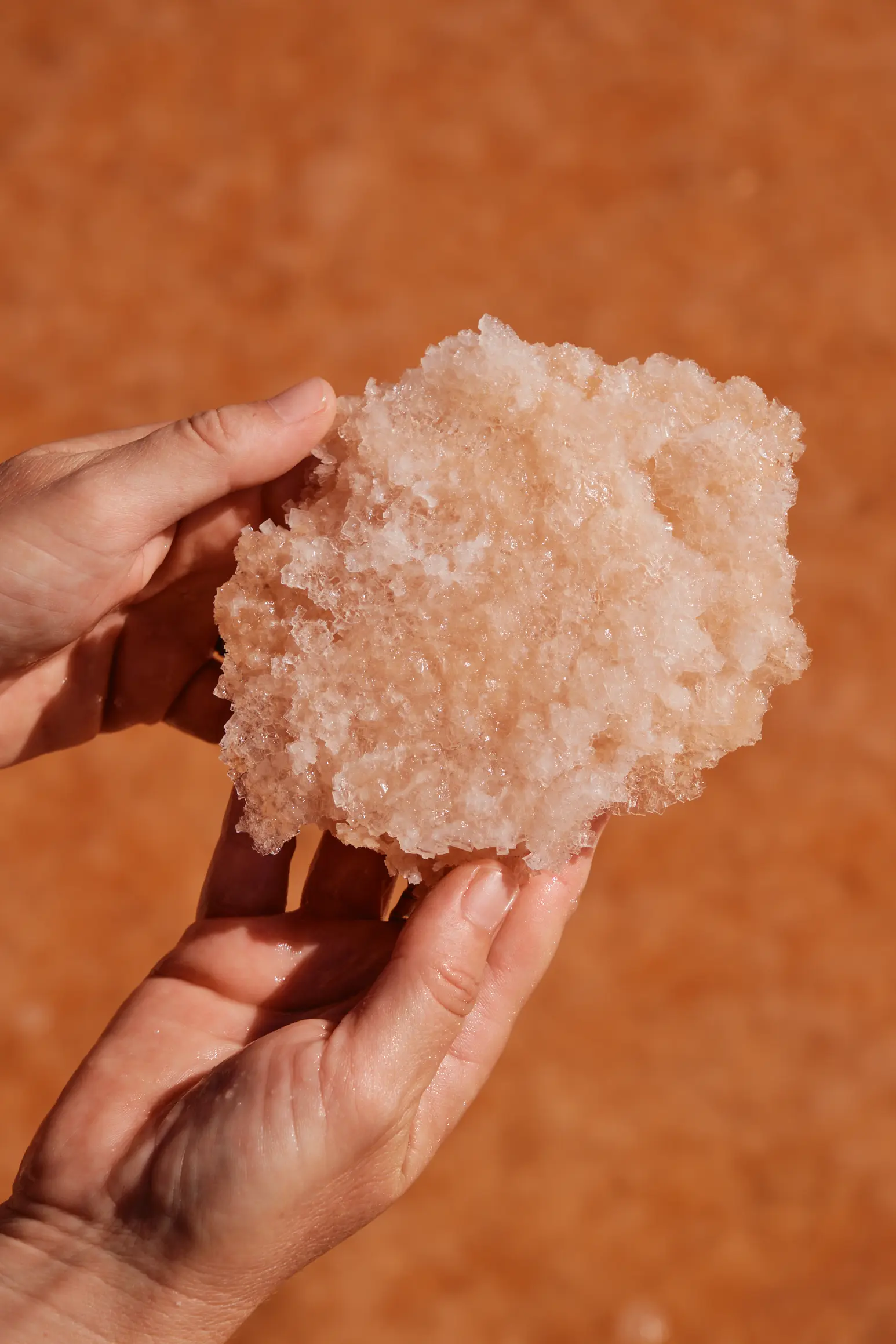 Photo: Aimery Chemin