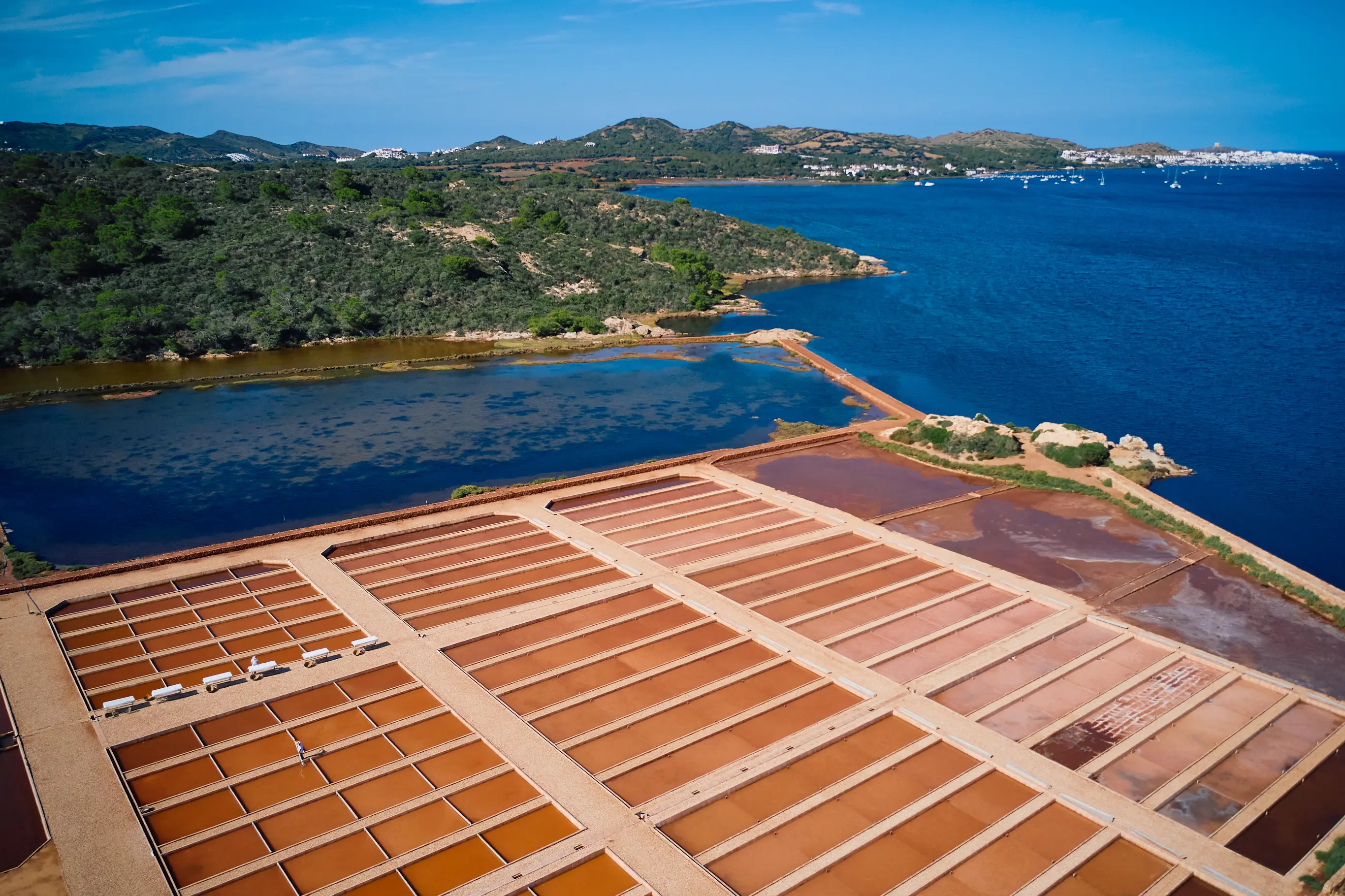 Quote illustration for Menorca's Salinas de la Concepción