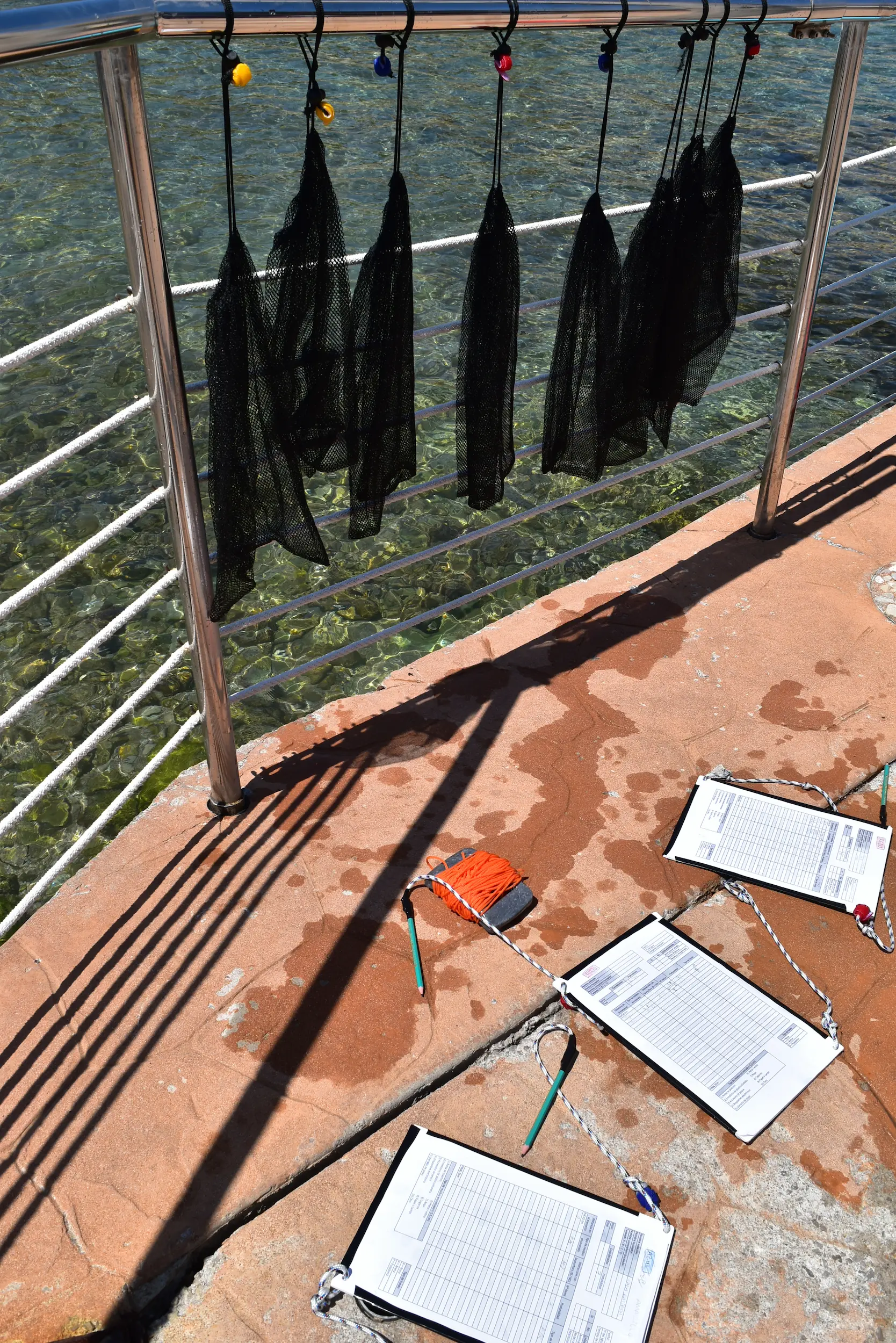 Collecting debris and research for Weaving the Future