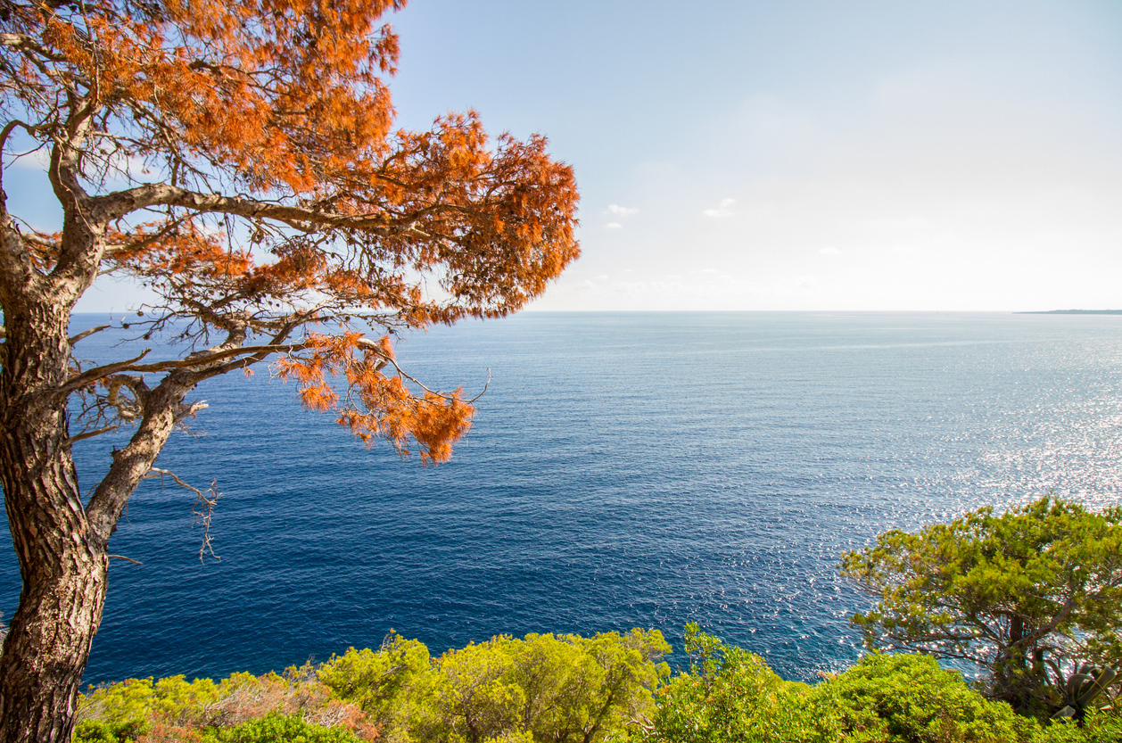 Five Reasons We Are Looking Forward To Fall  - View Mallorca