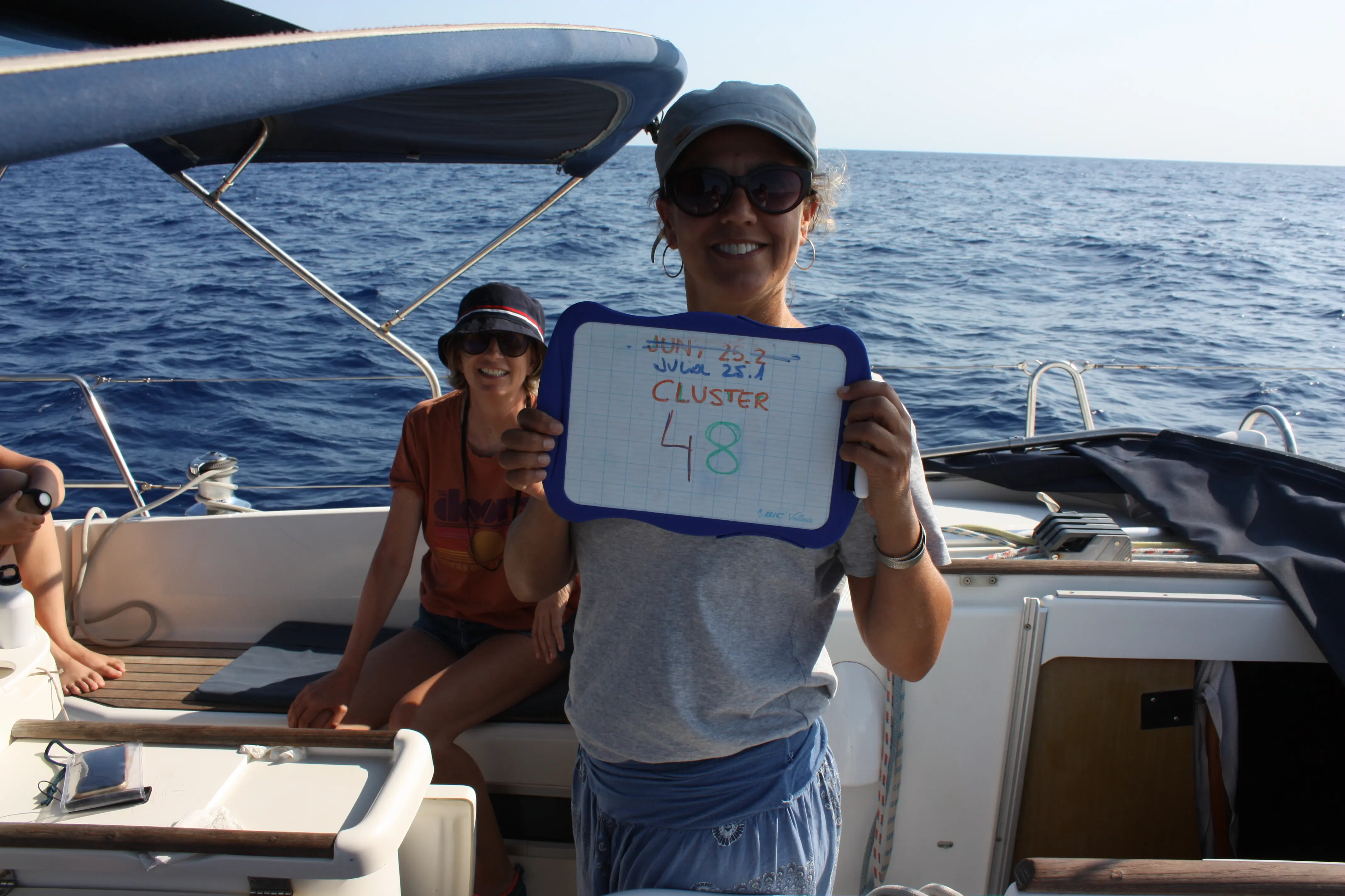 Quote illustration for An Adventure at Sea: A Week as a Volunteer Observing Whales and Dolphins With Tursiops Foundation