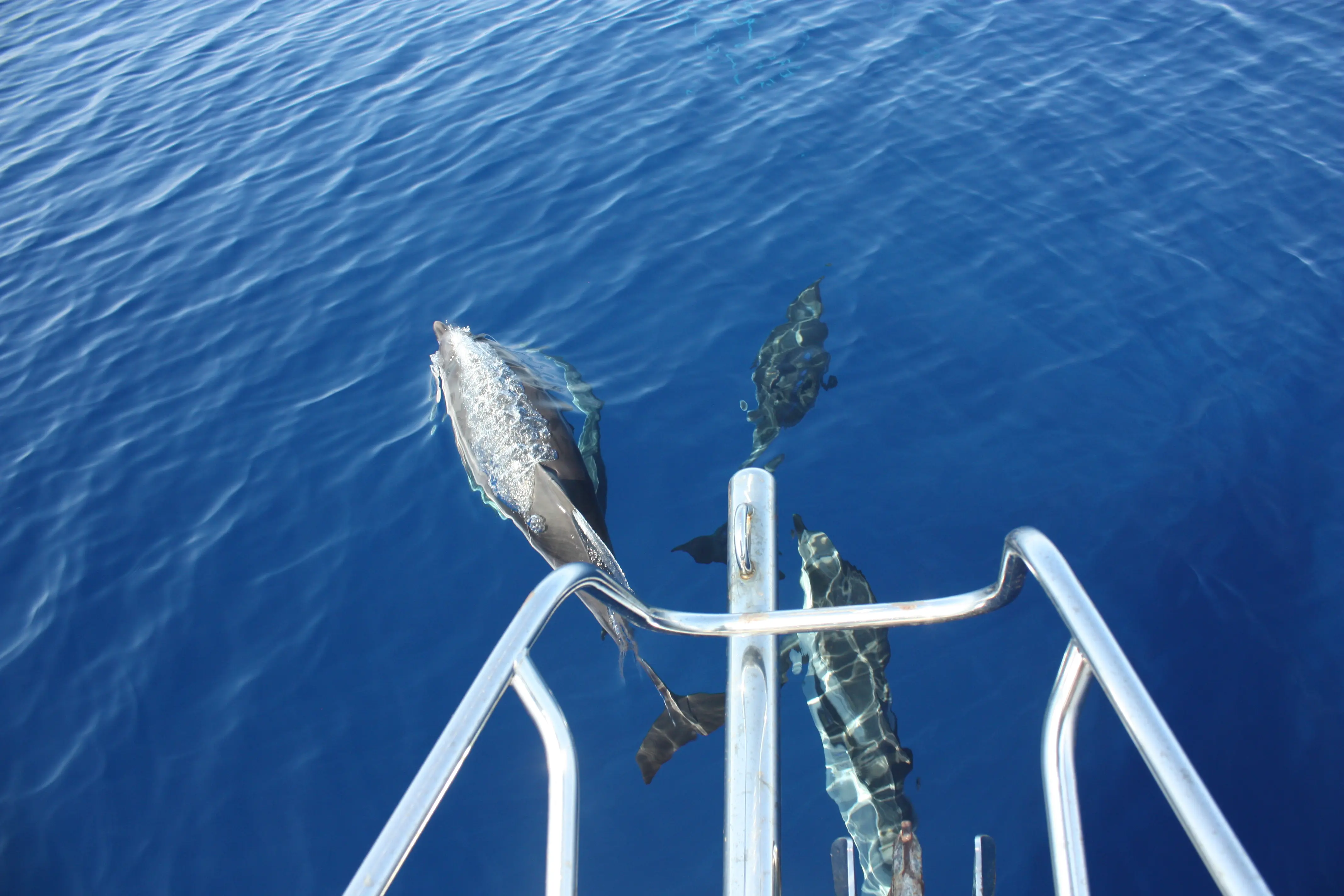 Photo: Laurence Lafiteau