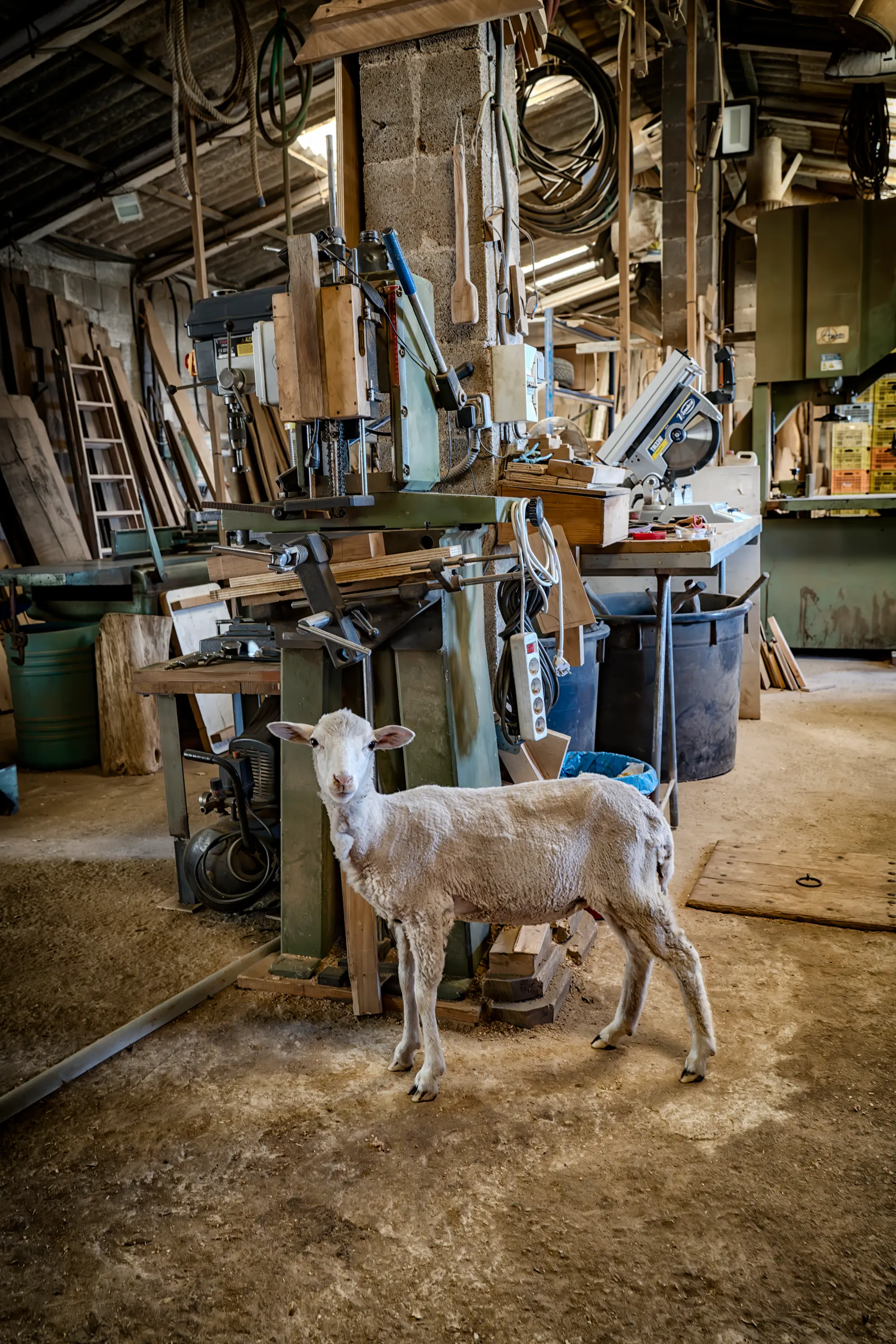 Inside the studio. Photo: Duncan Kendall