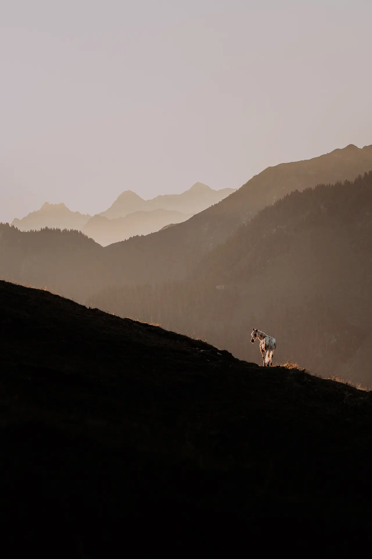 Photo: Lara Baeriswyl