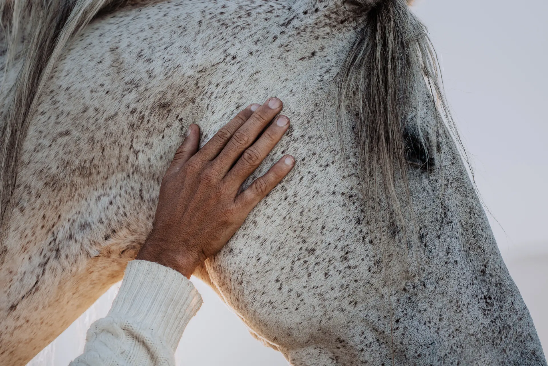 Photo: Lara Baeriswyl