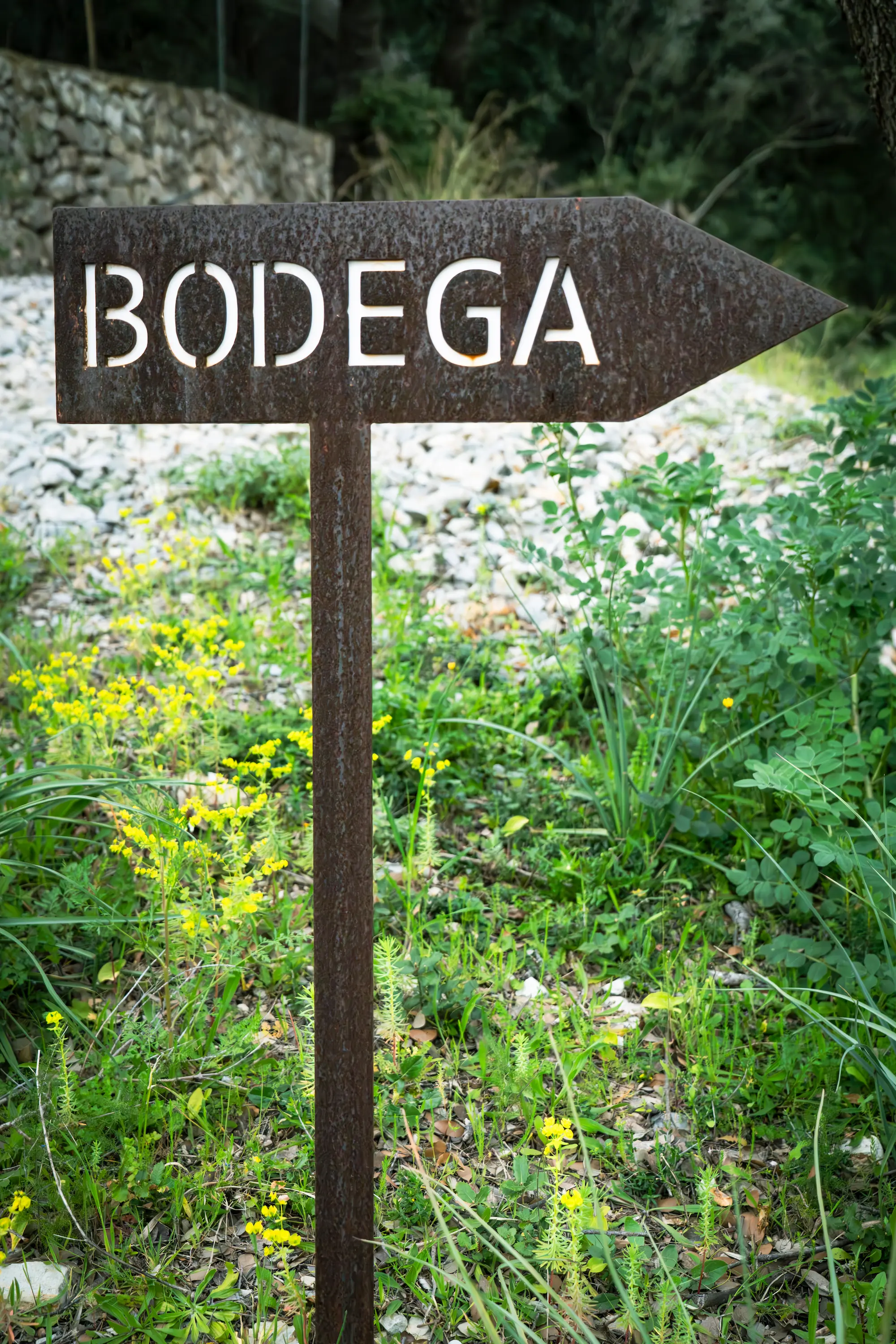 Photo by Duncan Kendall