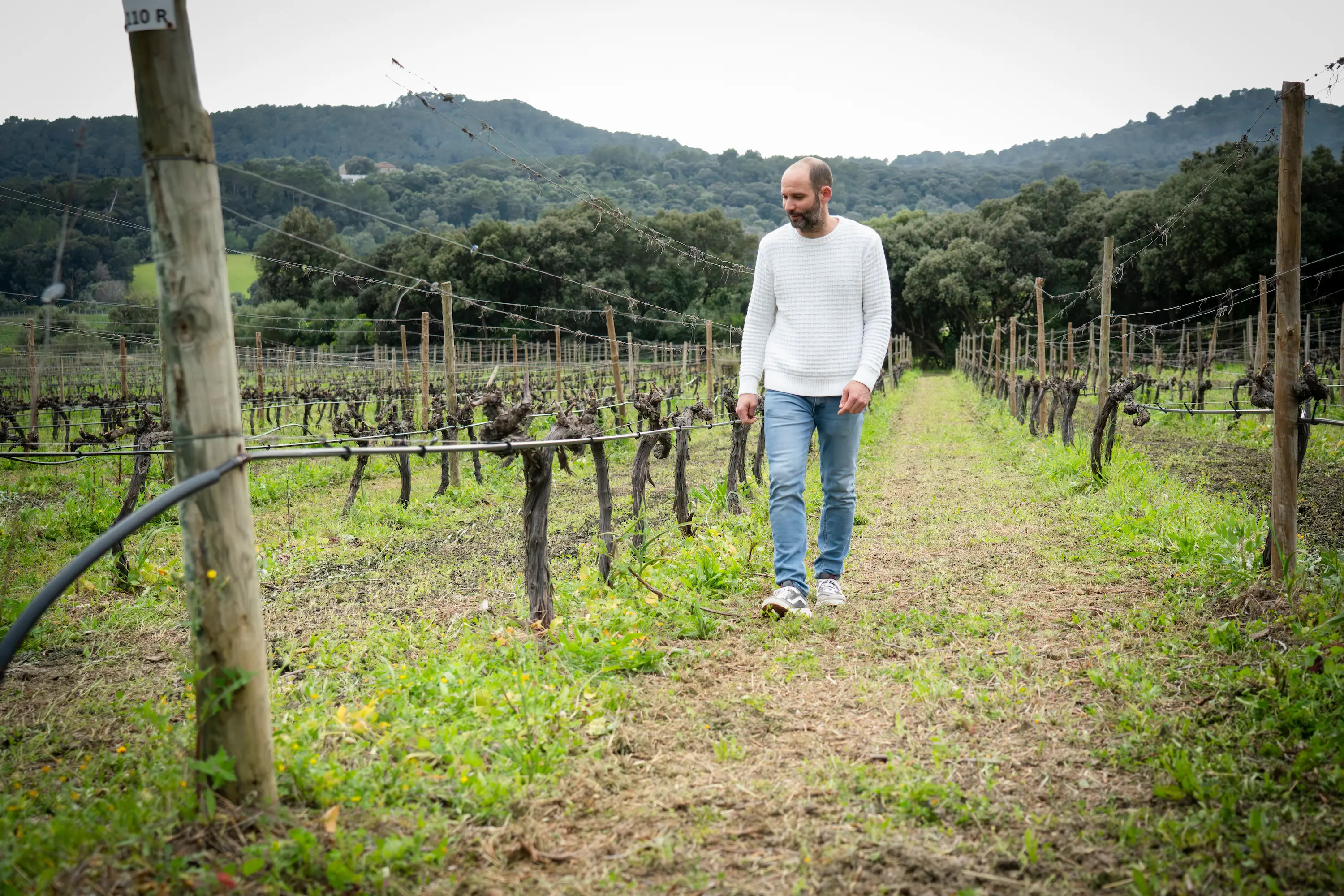 Quote illustration for Unearthing the Past, Tasting the Future