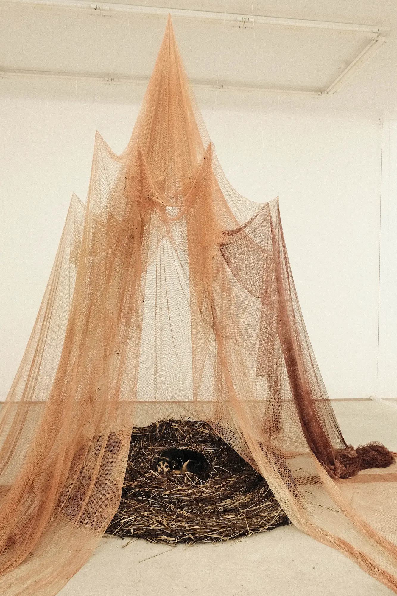 HEART·H, an exhibition about the home, is on view at the CCA Andratx - View Mallorca