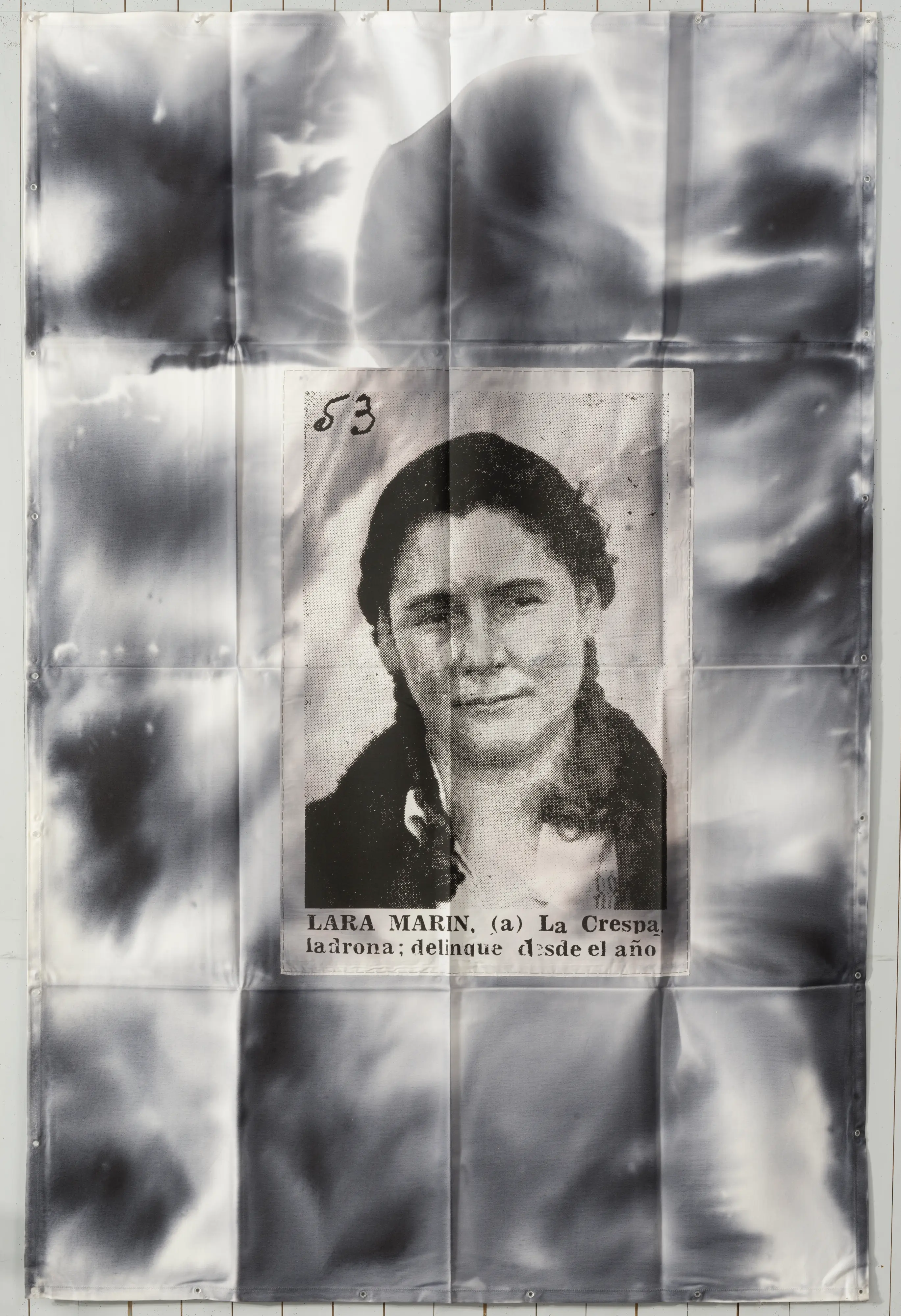 Eugenio Dittborn, La XXVII Historia del rostro (Lejia),2004 (detail). Dye, poplin, stitching and photo-silkscreen on sixteen pieces of Duck fabric, 210 x 2240 cm. Courtesy of the artist. © of the work of art, Eugenio Dittborn, 2024