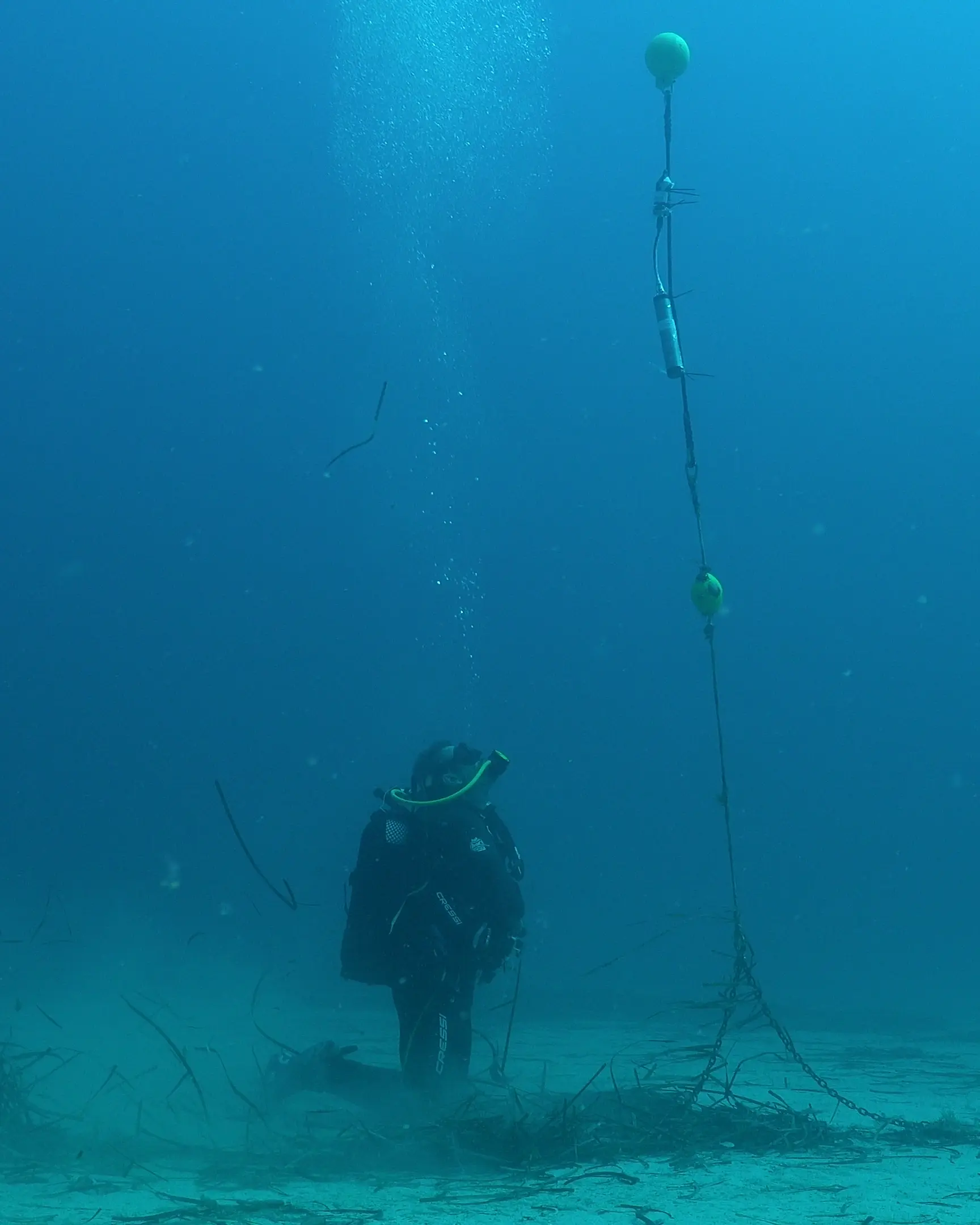 Photo courtesy Tursiops