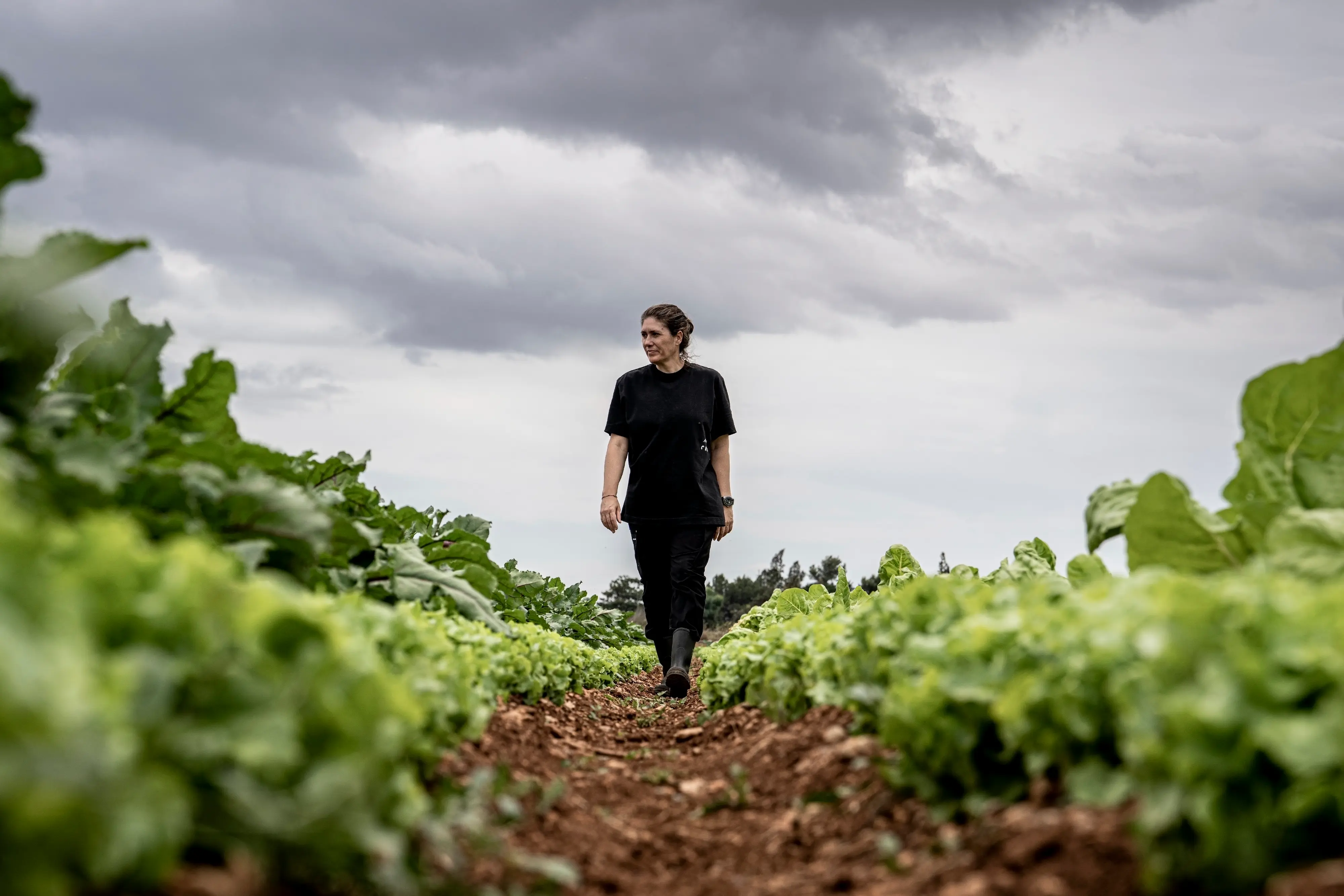 Maca de Castro, The Future is the Land  - View Mallorca