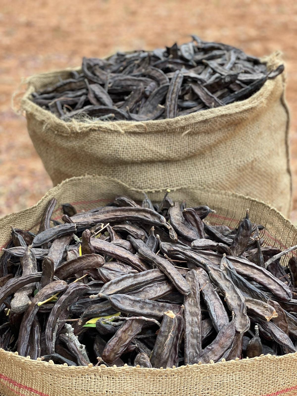 Photo courtesy Es Garrover