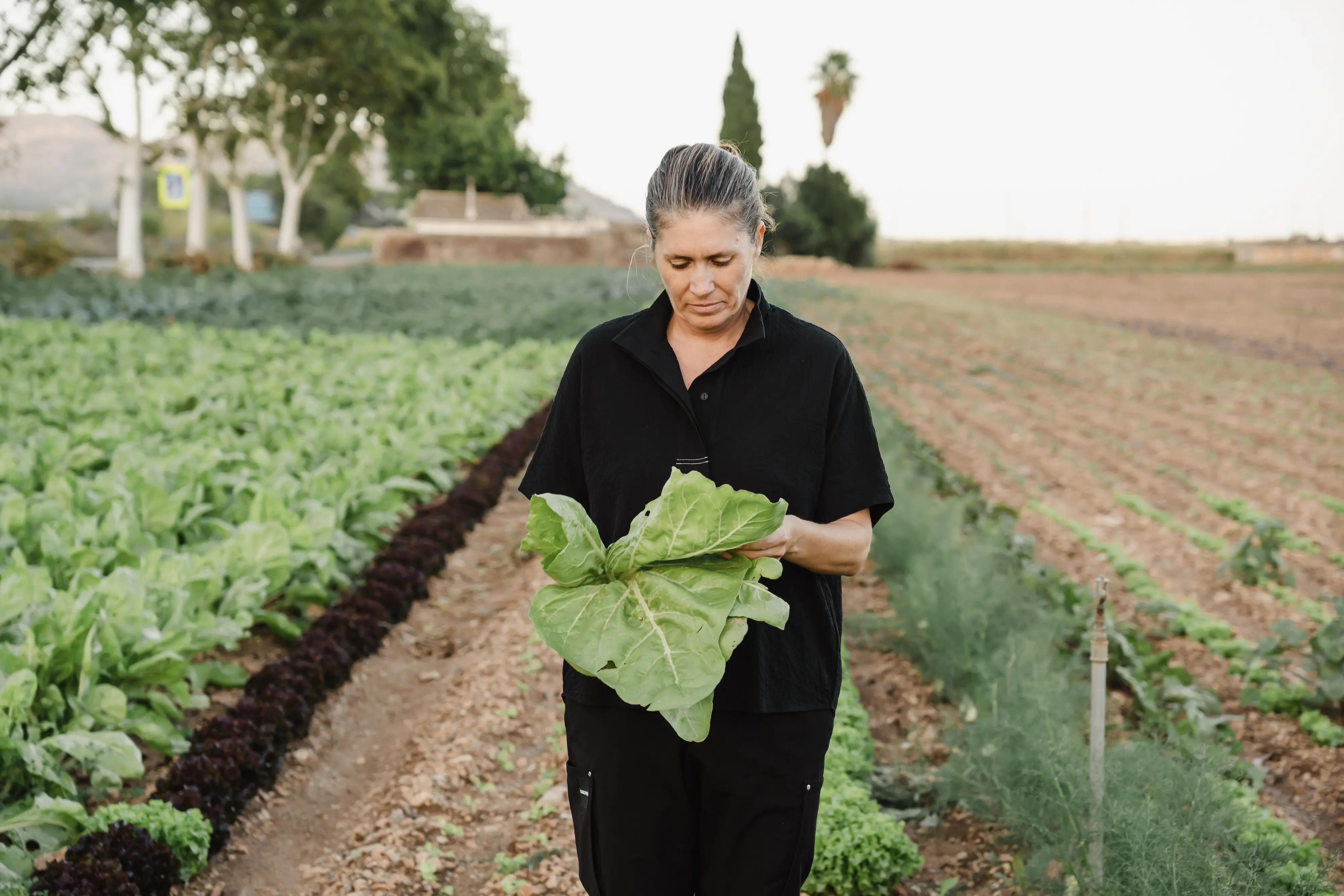 Quote illustration for Maca de Castro, The Future is the Land 