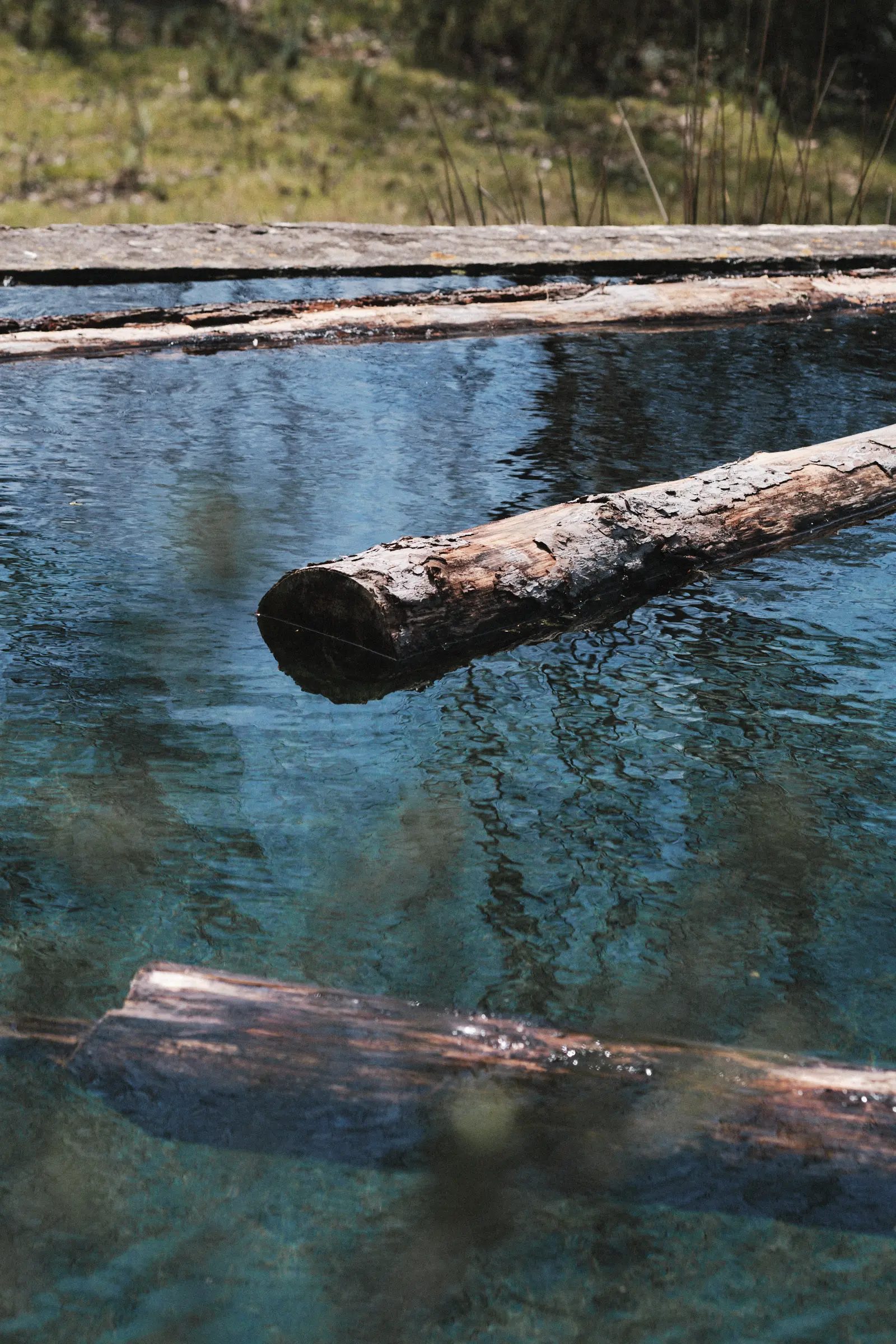 Preparing pine wood, Photo by Xim Izquierdo for the project Loop, Courtesy Amarar