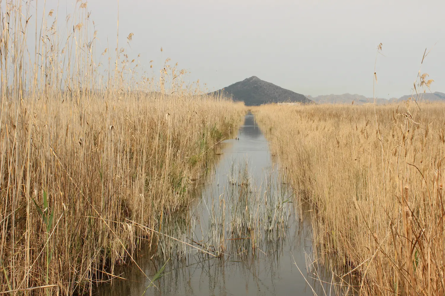 Albufera. Photo: Laura Pott
