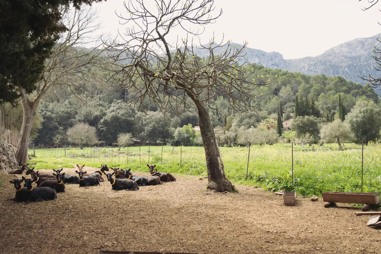 8 Off-Season Adventures for Families in Northern Mallorca - View Mallorca