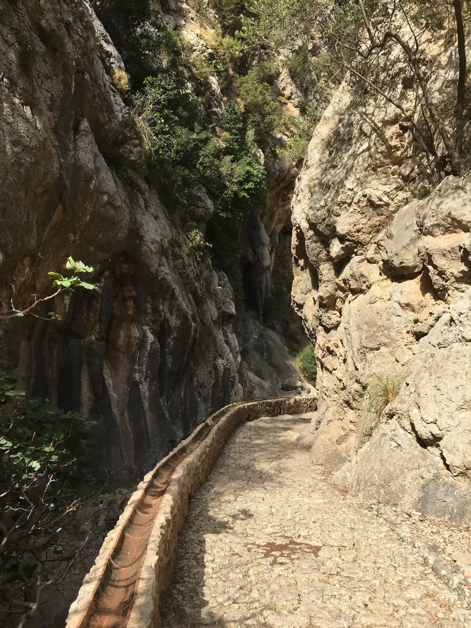 Hiking in the 'barranc' in Biniaraix 
