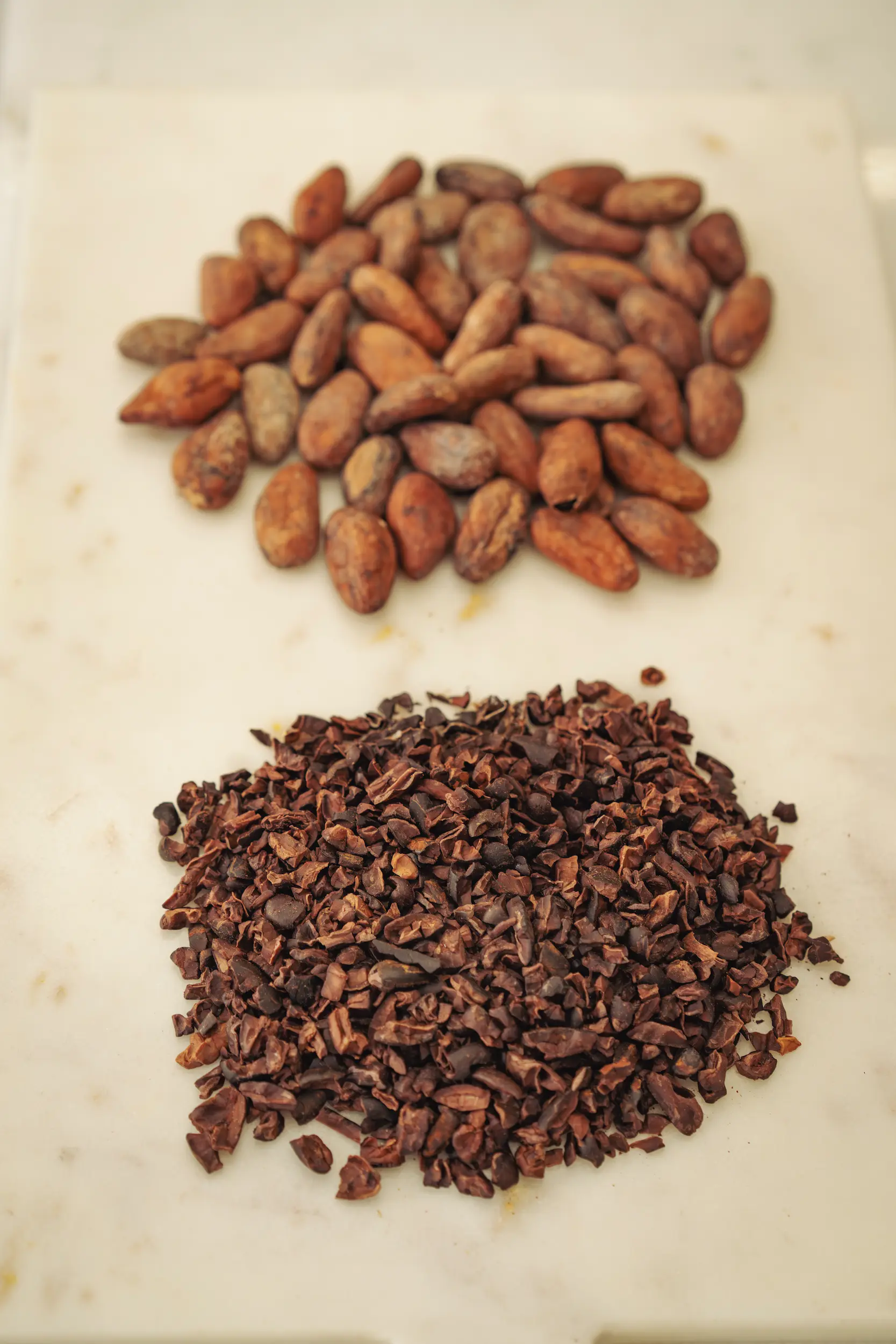 Cacao, Photo: Duncan Kendall