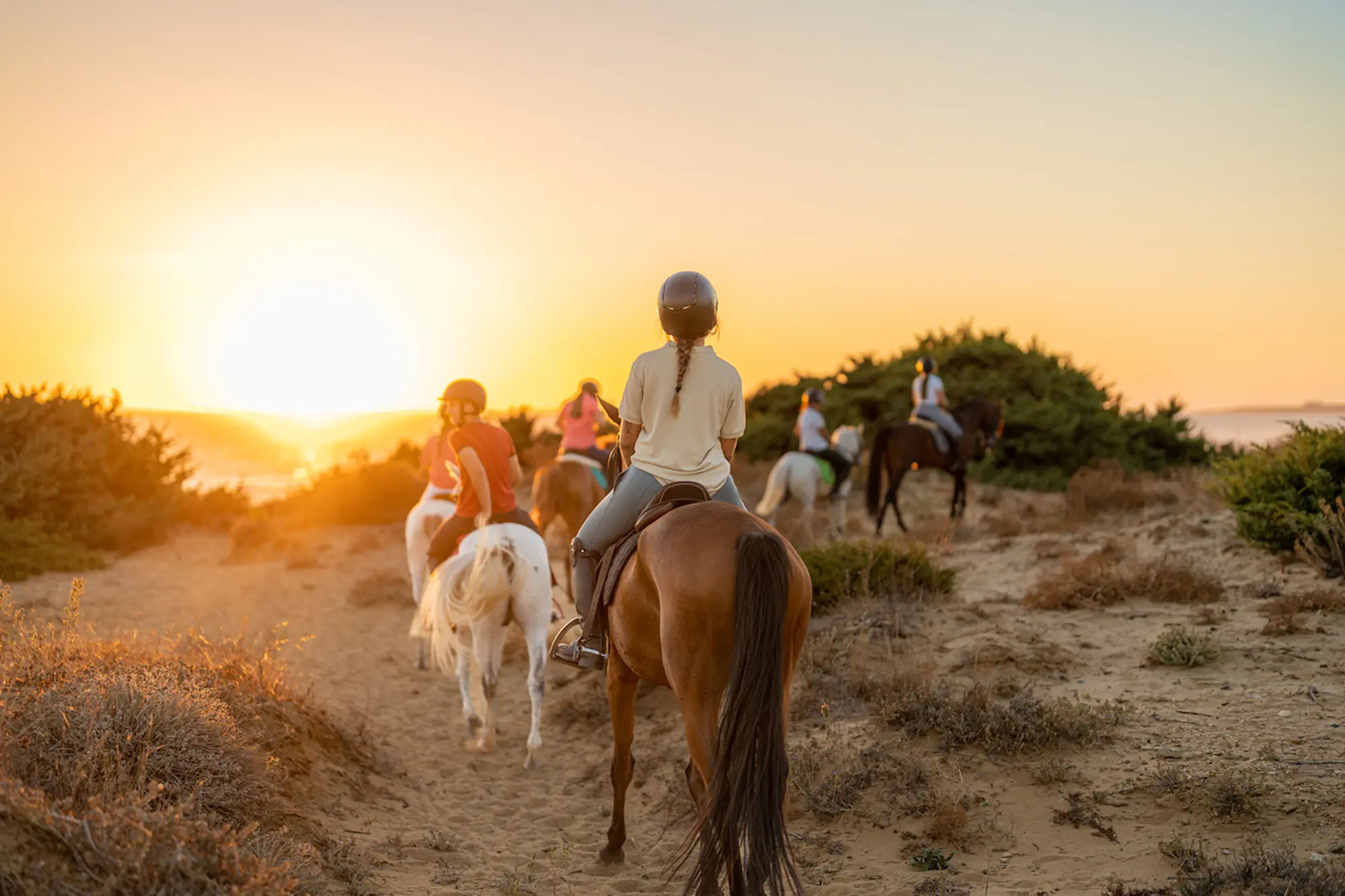 Group of people riding horses on the beach during sunset