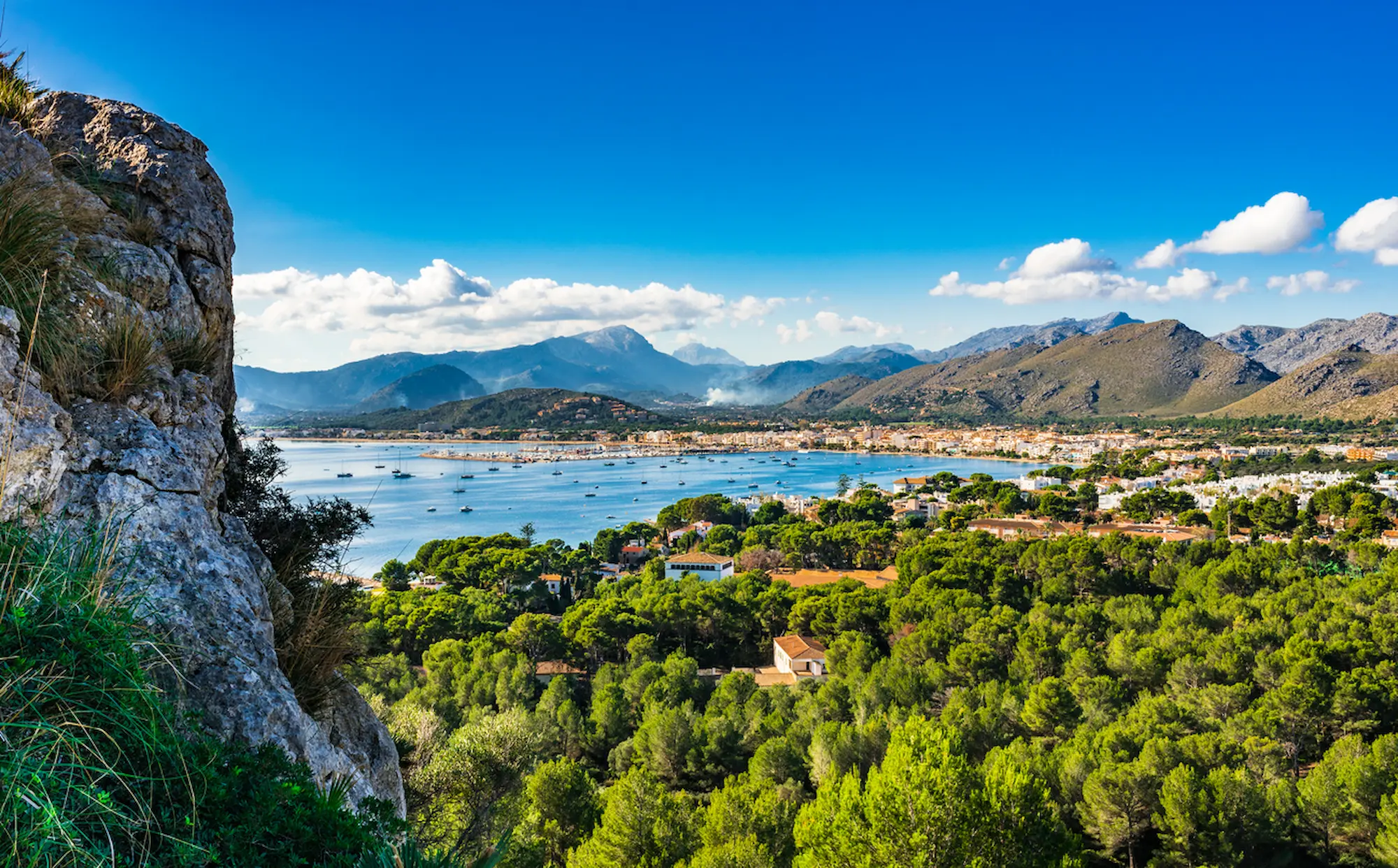 Bay of Port de Pollenca with trees, mountains and blue water in the distance 