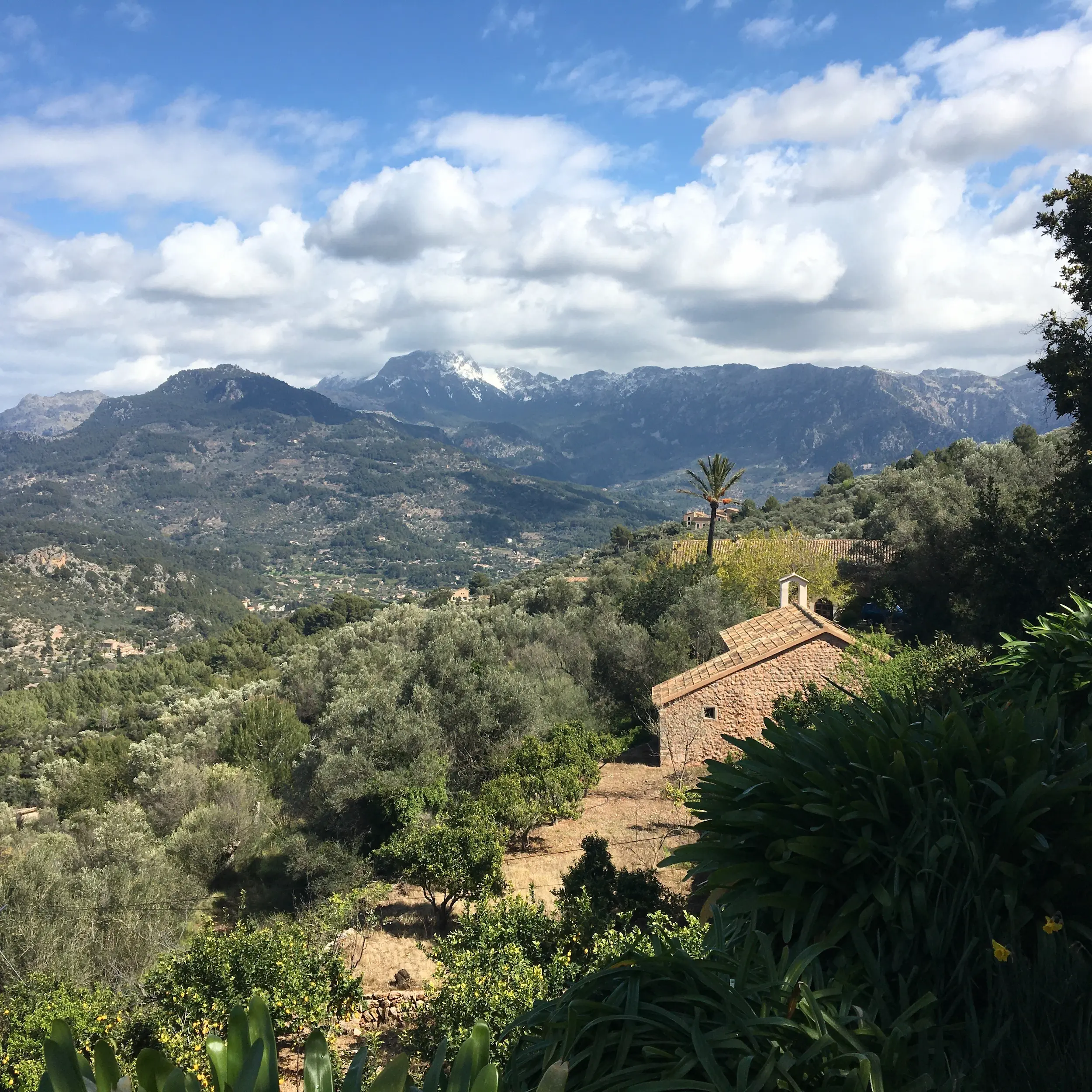 Winter hiking in the Sóller Valley with snowy peaks in the background