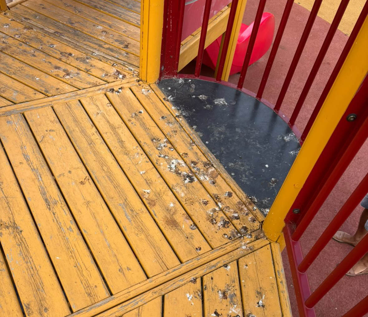 Courtesy of @parcsdepalma