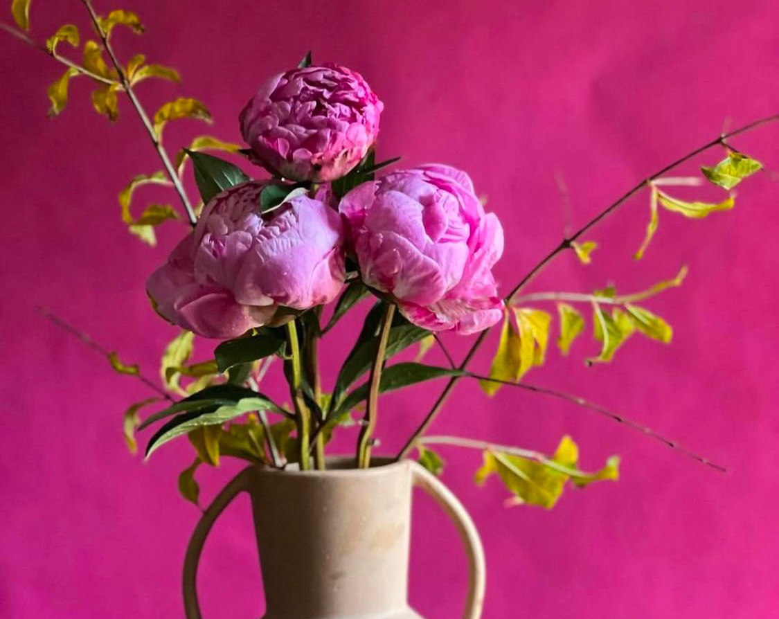 Blooming in Paradise: Rachelle Lombaard's Journey with Faire Flowers in Mallorca - View Mallorca