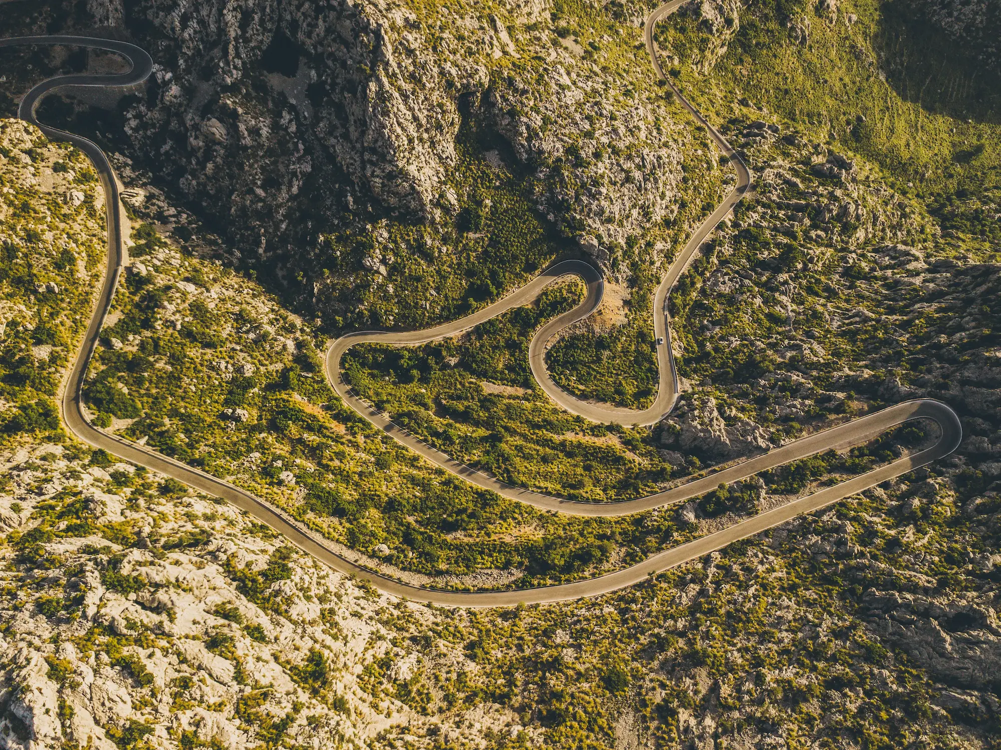 Following Her Passion, Lorena Peláez Moved to Mallorca and Started Her Own Business. - View Mallorca