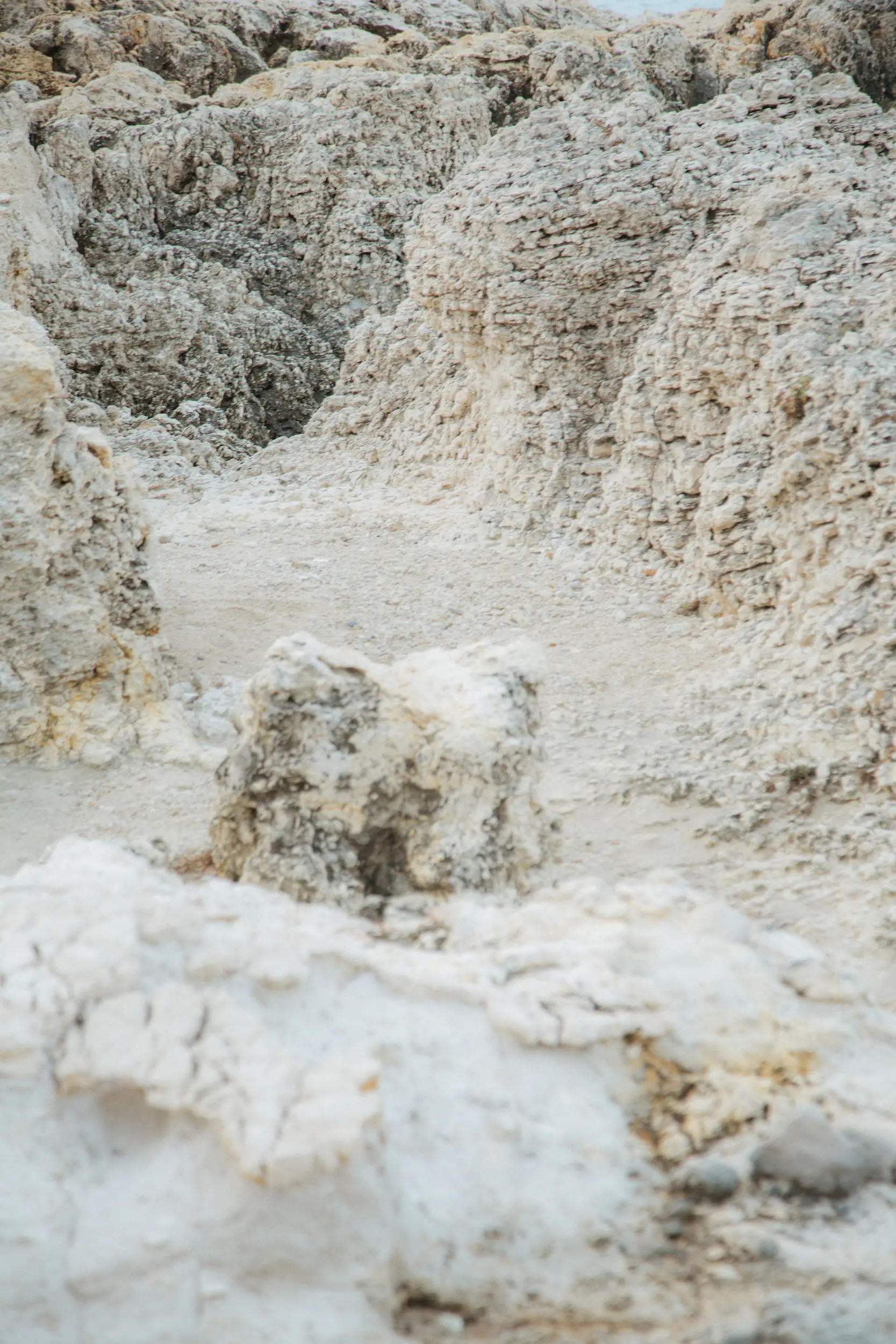 Quote illustration for Cecilia Sörensen: A Fashion Brand Where Nordic Style Meets the Mediterranean Lifestyle