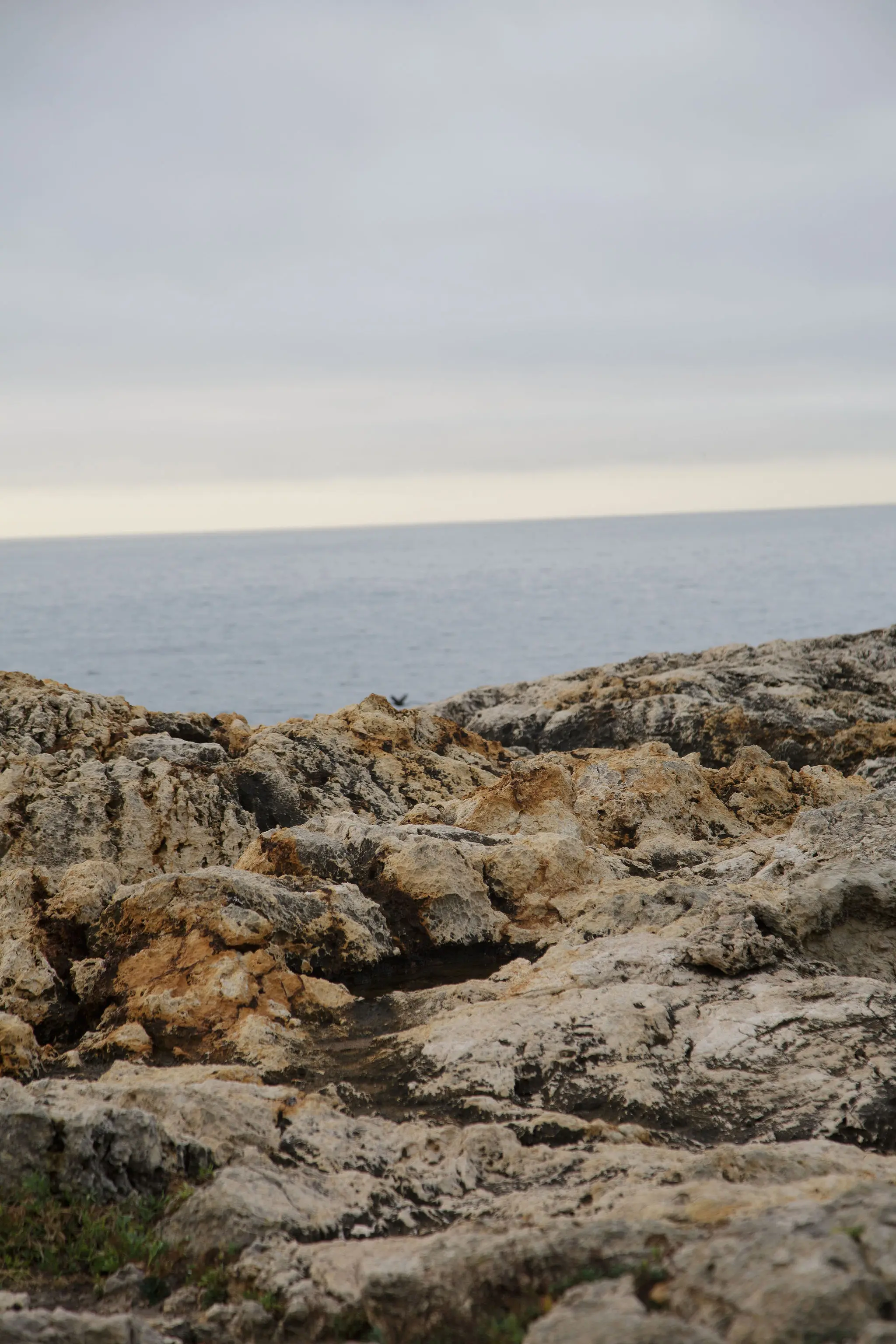 Cecilia Sörensen: A Fashion Brand Where Nordic Style Meets the Mediterranean Lifestyle - View Mallorca