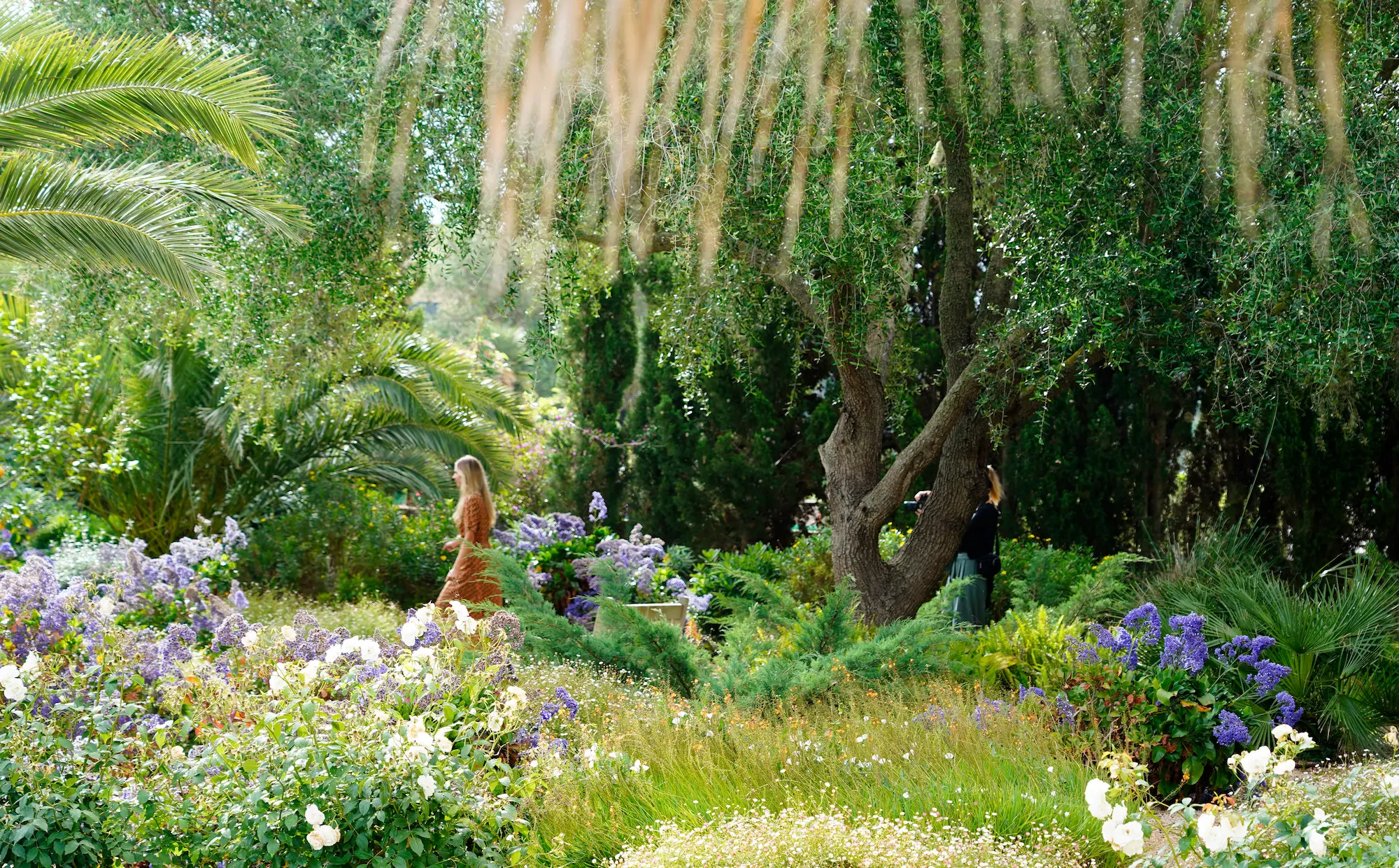 Interview with Jennifer Warren Gash, Founder of Mashamba - View Mallorca