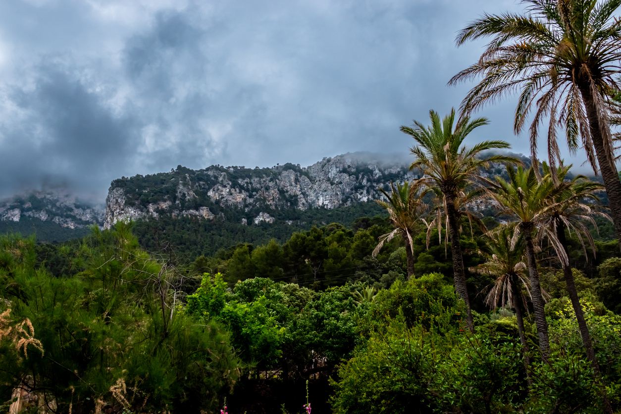 Pau de Vilchez Moragues on Mallorca and Climate Change - View Mallorca