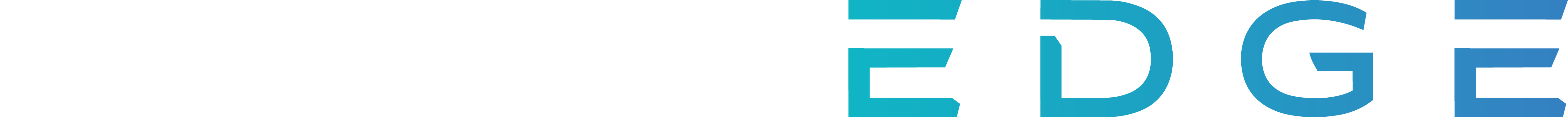 MegaEdge Logo