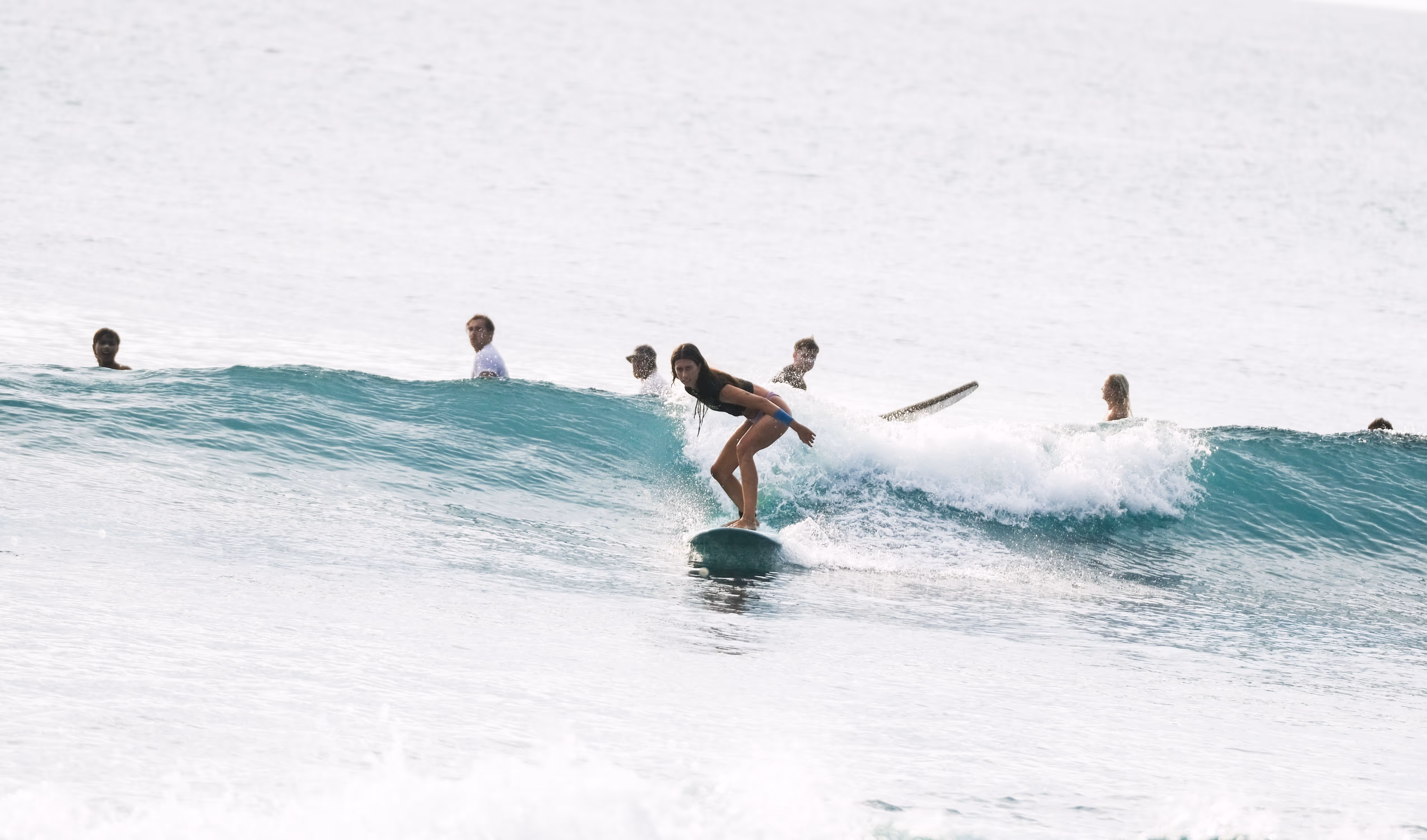 Beginner surf lesson