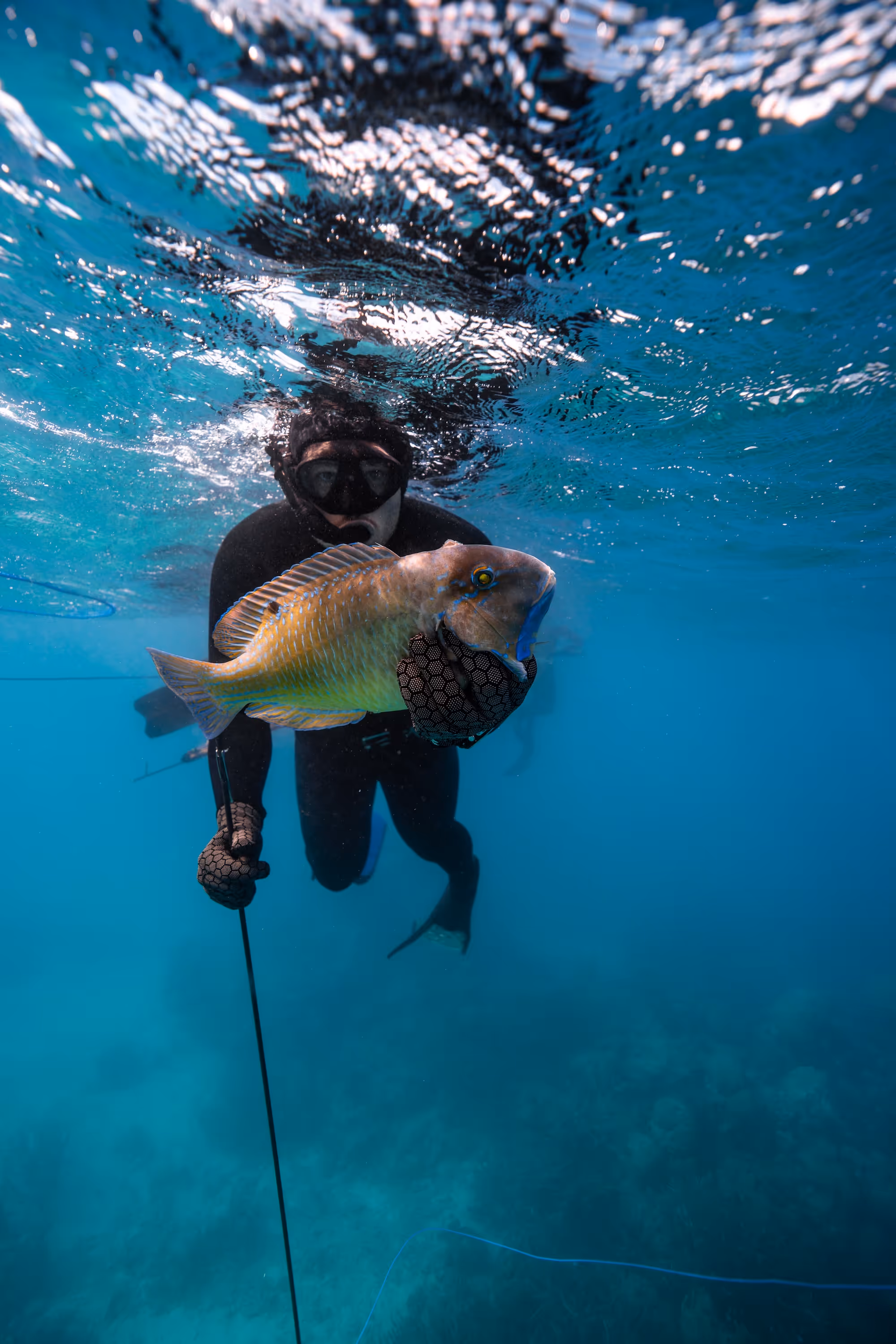 Spearfishing Kala Surf Camp