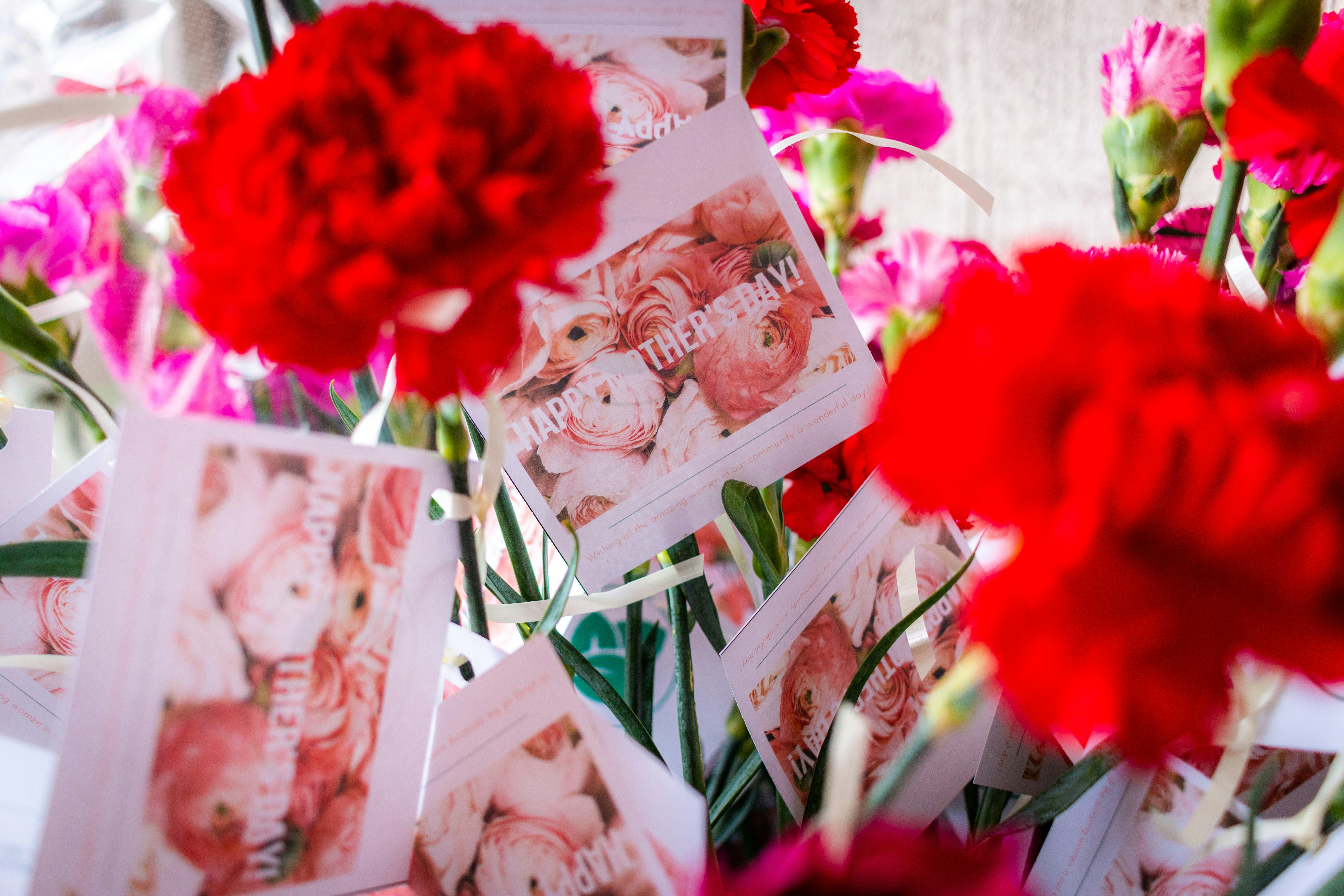mothers day flowers