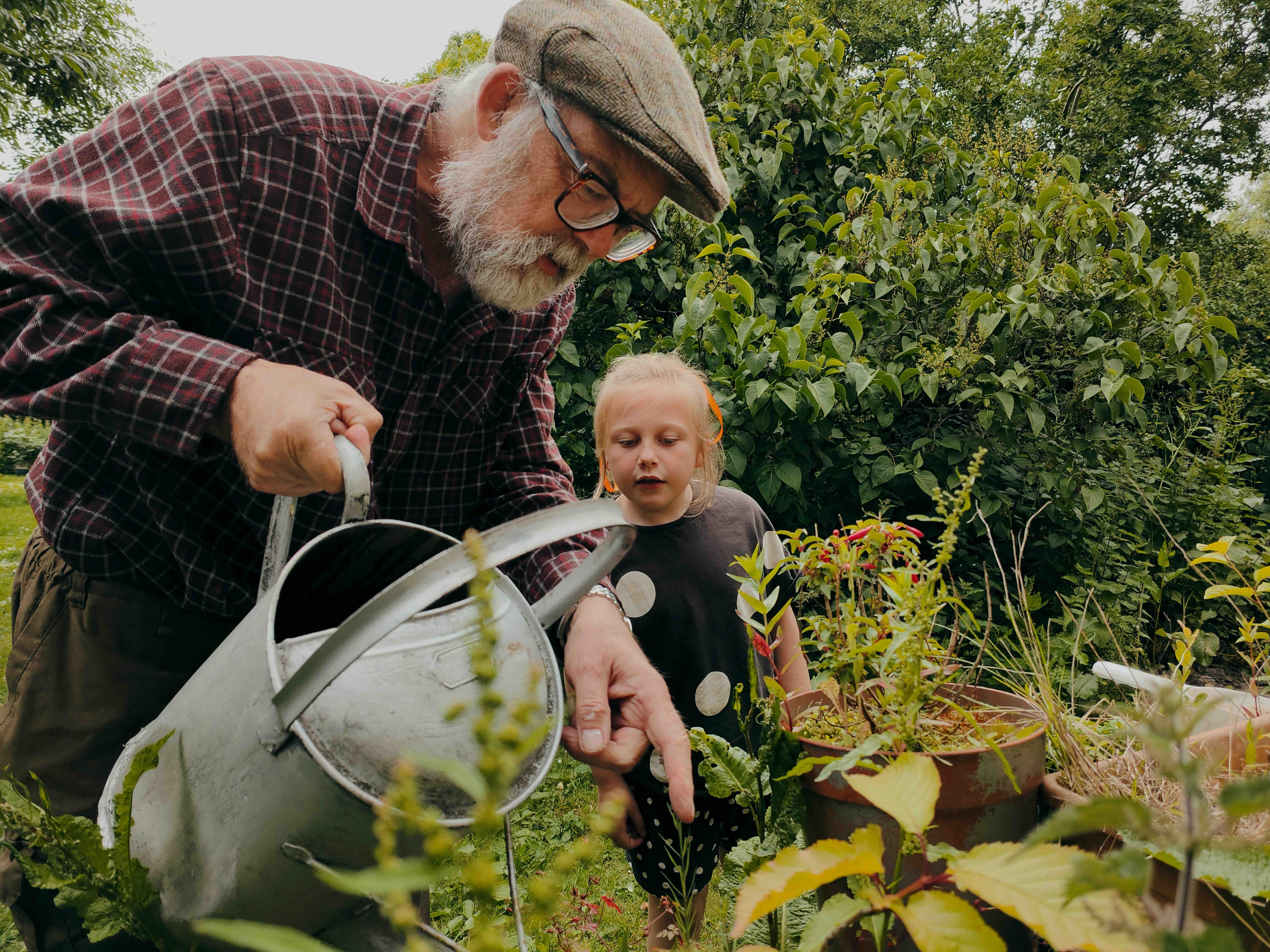 What is a low effort grandparent- Barrie Therapist VOX Mental Health