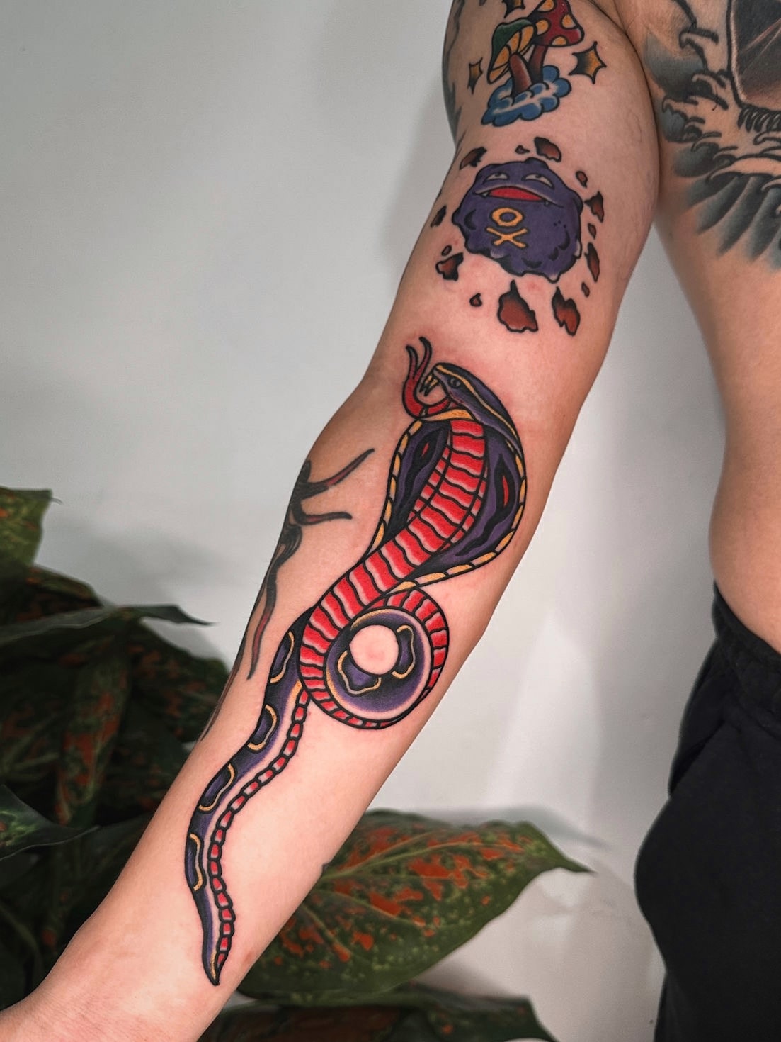 American Traditional Tattoo Bali - Cobra