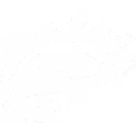 Fish logo Growave