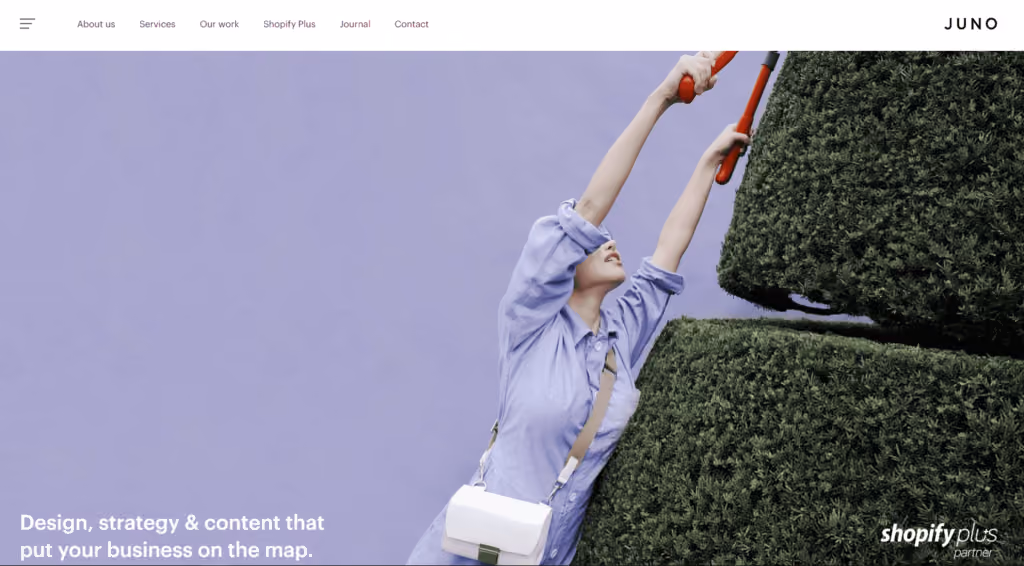 juno web design screenshot