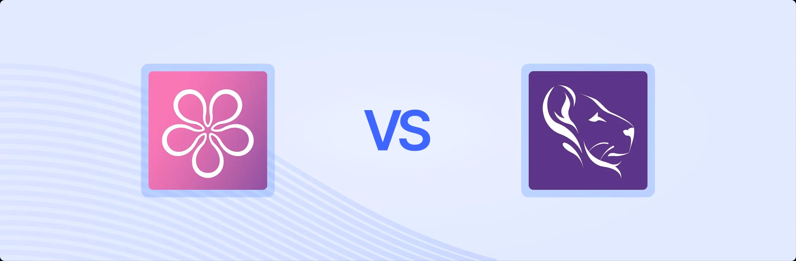 BON Loyalty vs. LoyaltyLion: An Objective Comparison