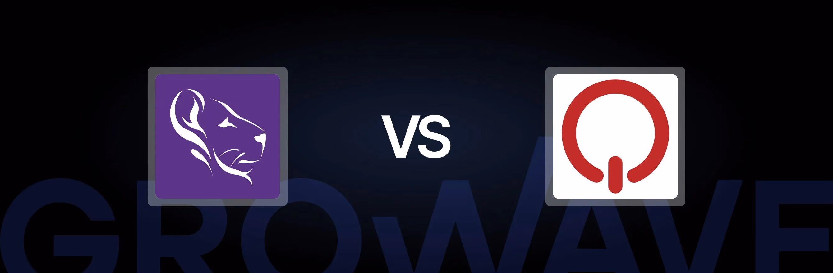LoyaltyLion vs. Qwikcilver: A Practical Comparison for Shopify